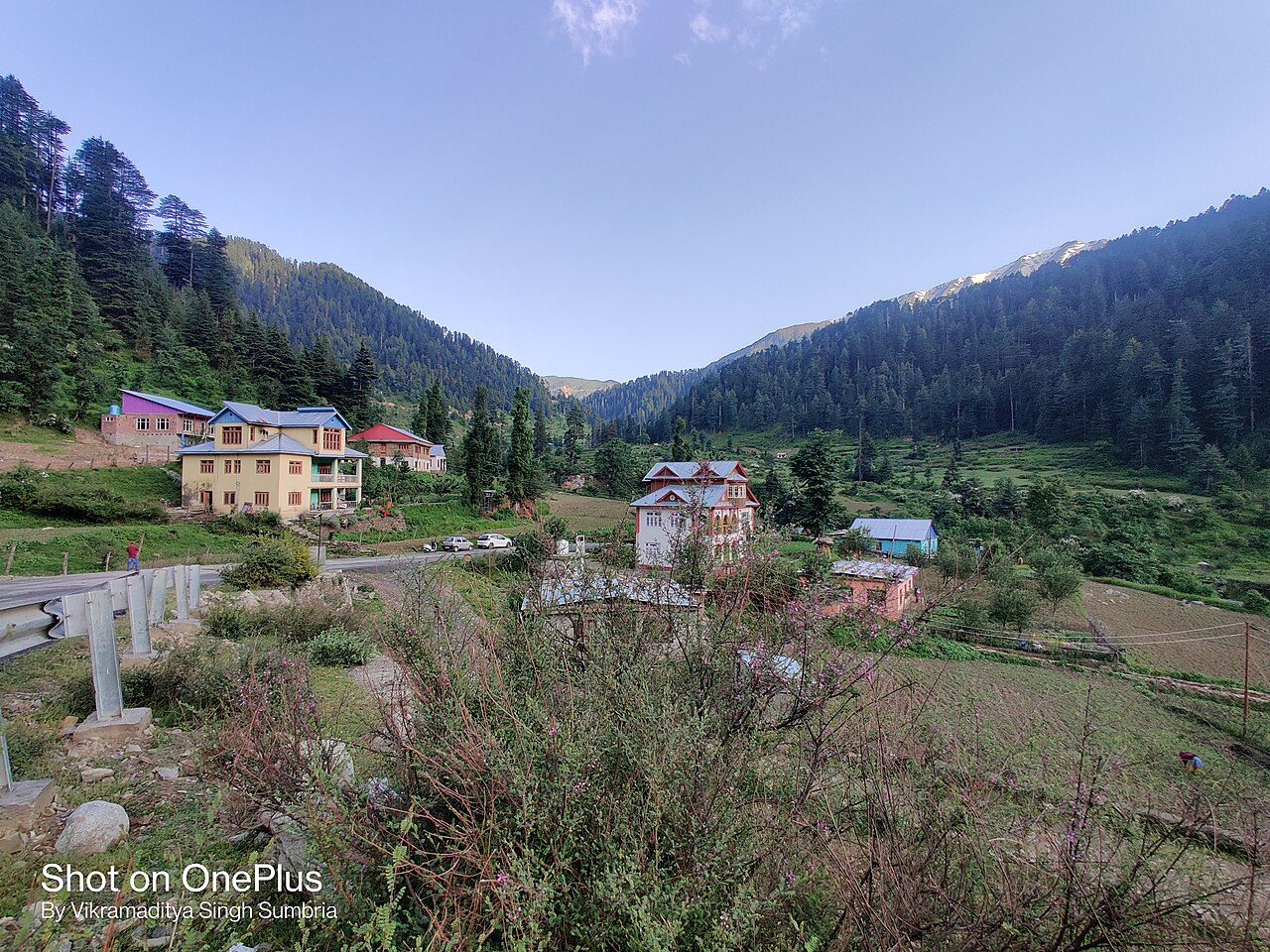 Snow-capped peaks viewed from Padri Top