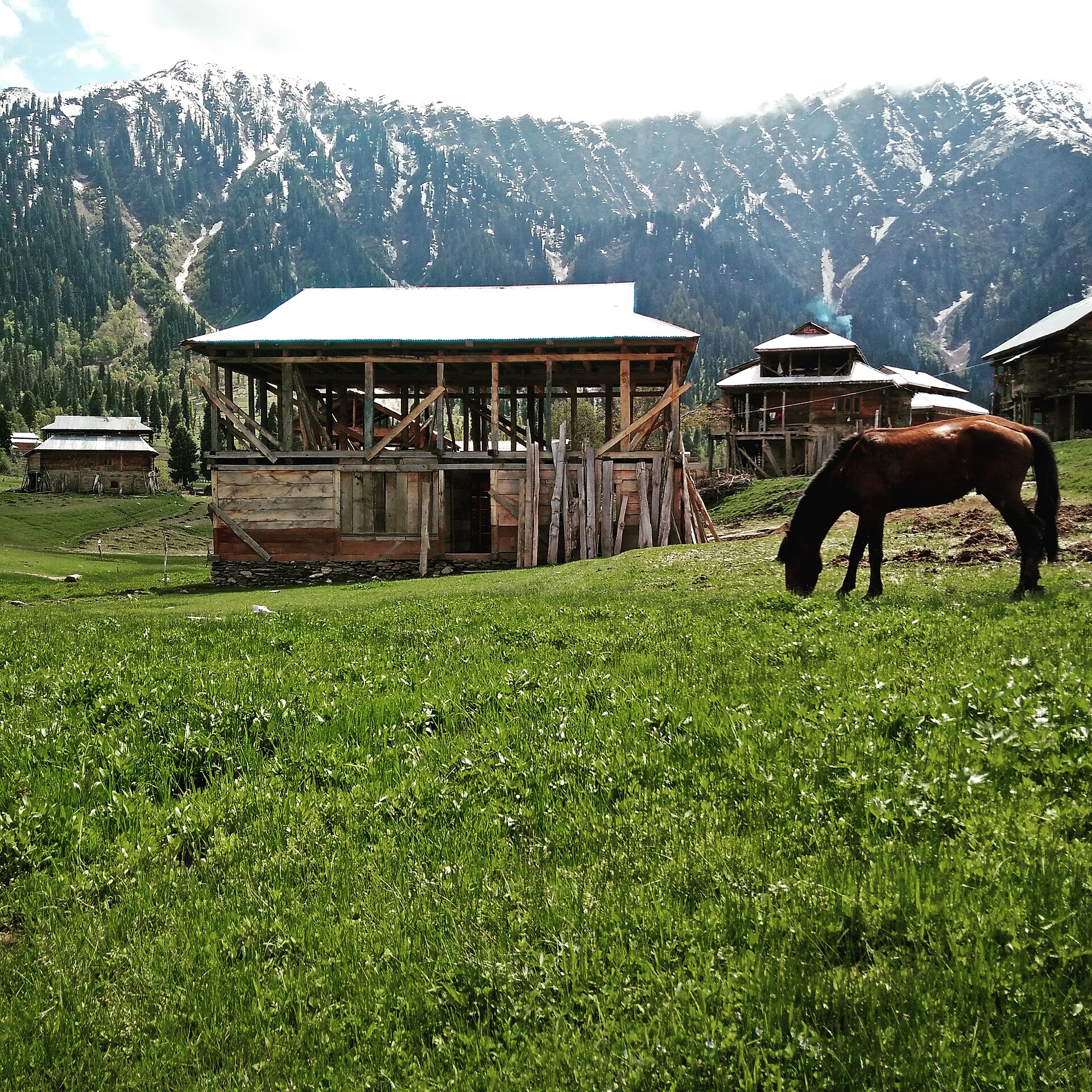 Hiking trail winding through a lush green alpine meadow