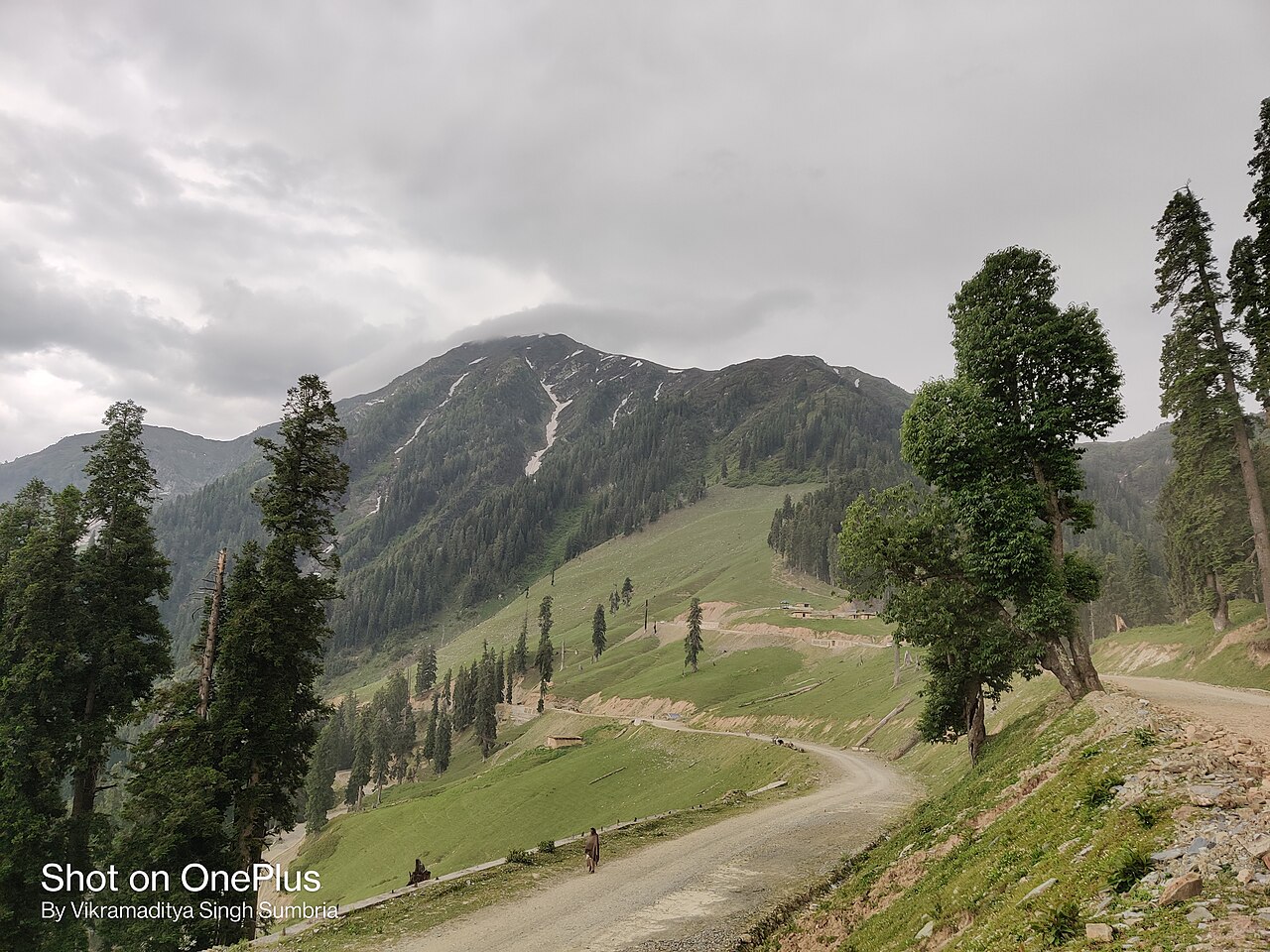 Winding mountain road with hairpin bends in Jammu