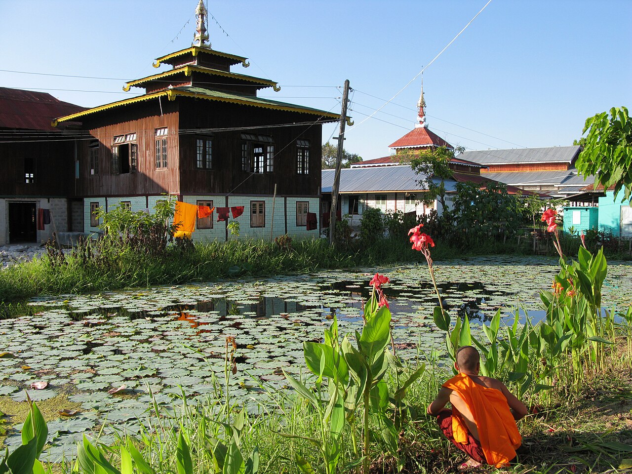 Aerial view of water lilies on lake