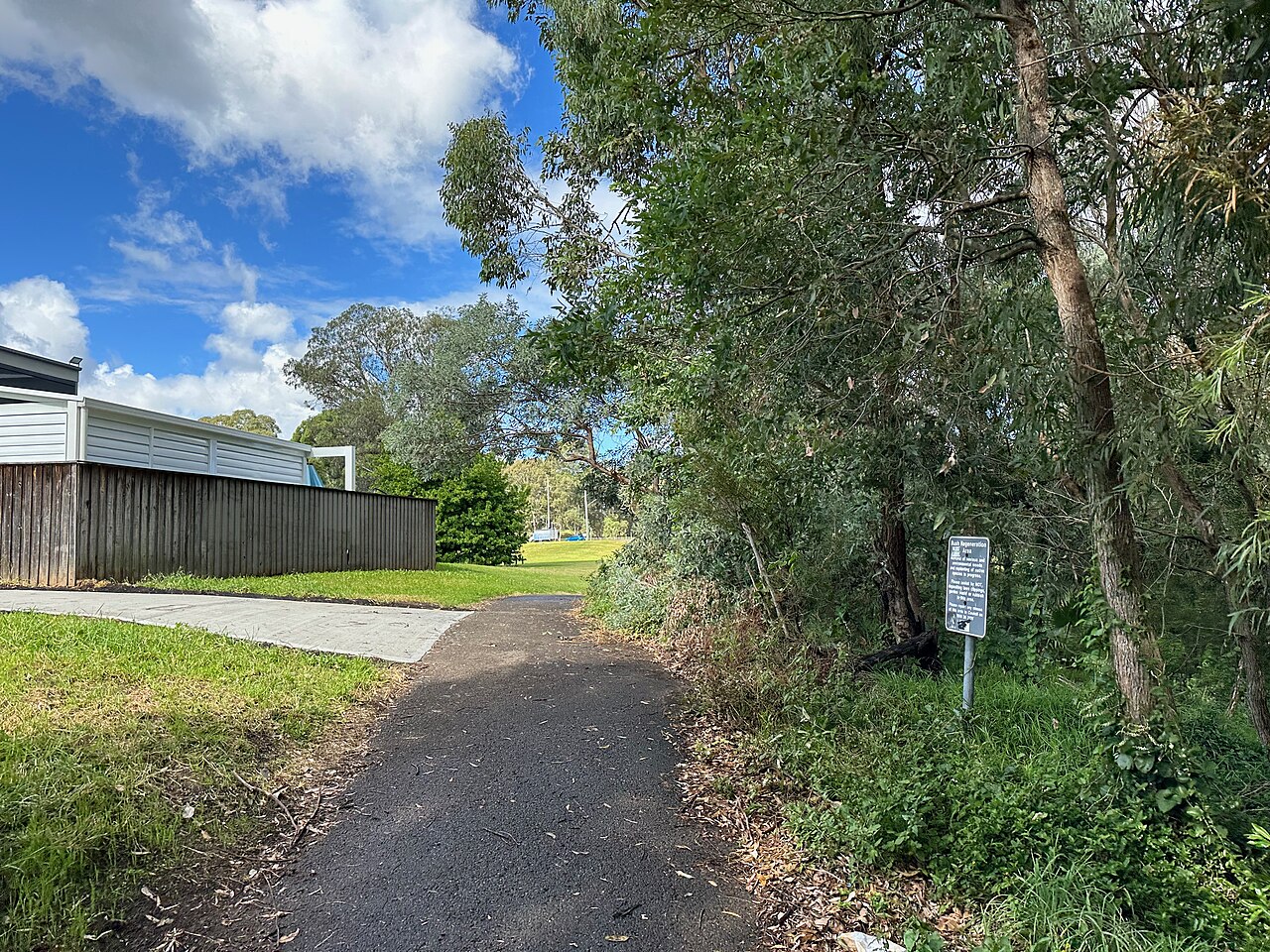 A peaceful walkway path circling a lake.