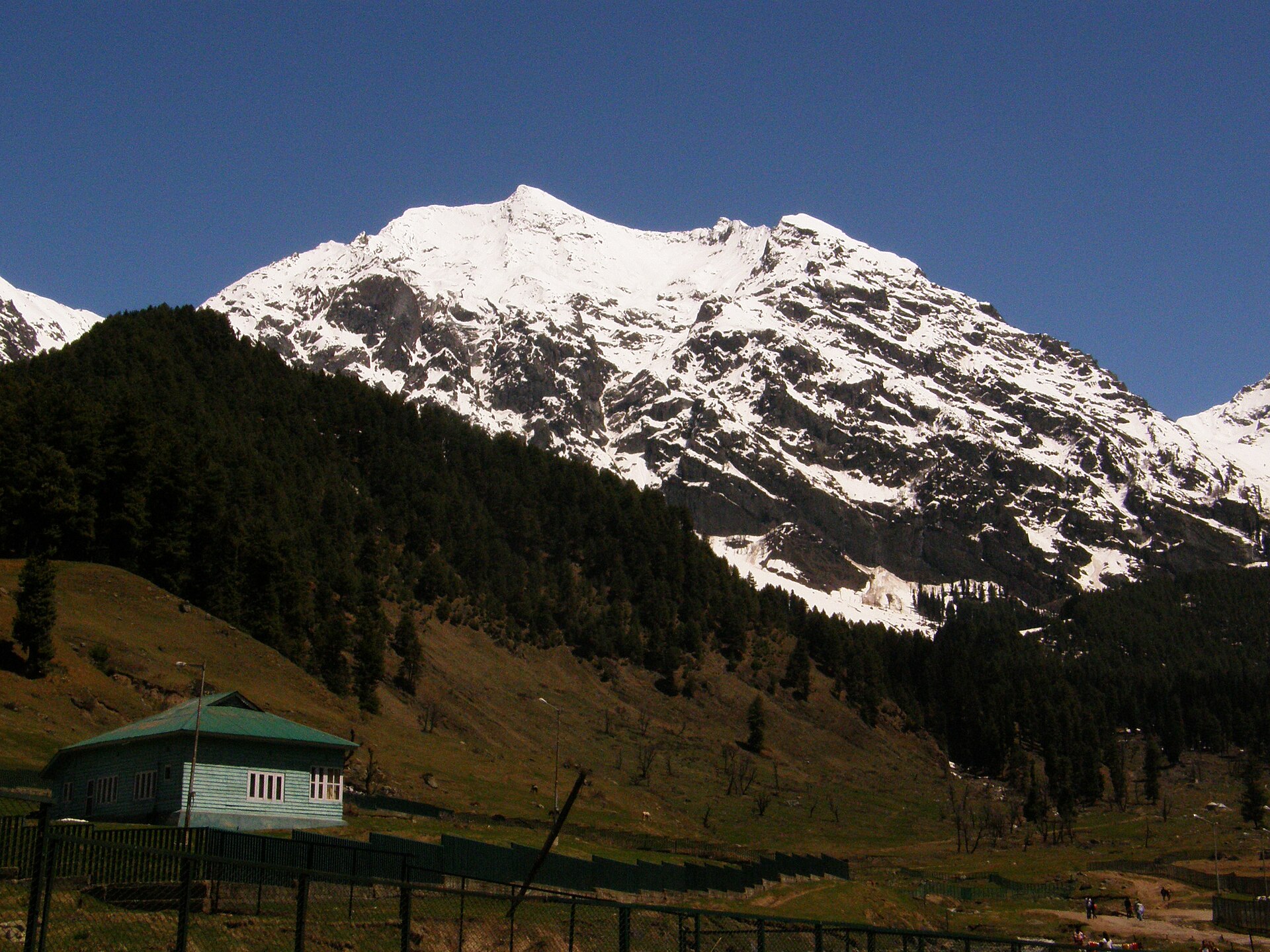Green meadows and pine trees in Aru Valley during summer