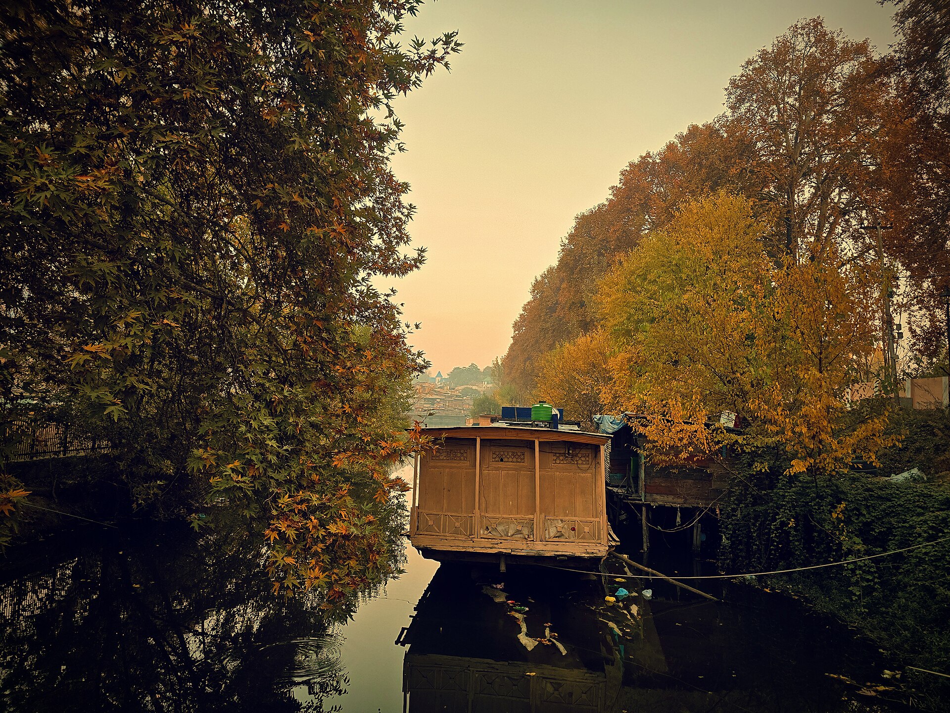 Autumn foliage around Dal Lake in Srinagar
