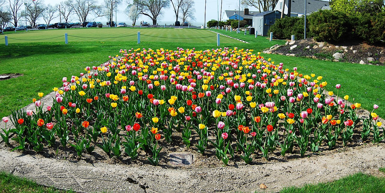 Visitors walking through the garden during peak season.