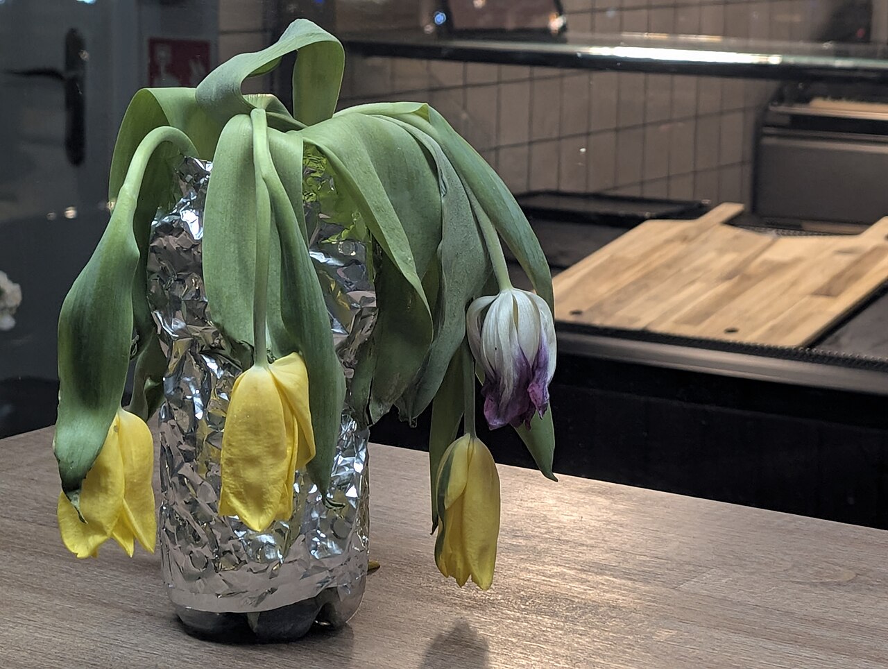 Fading tulip petals at the end of the season.