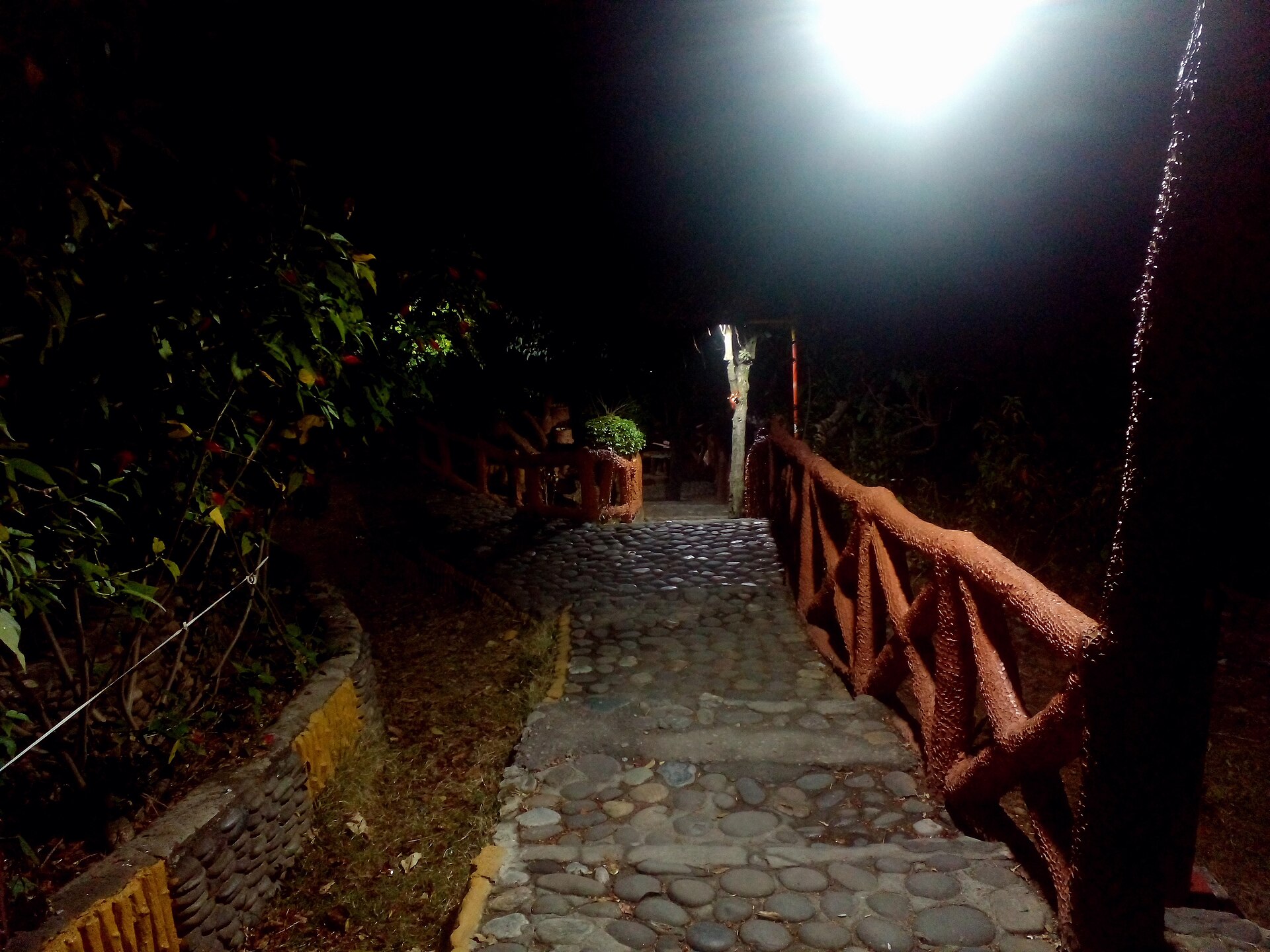 Quiet stone staircase winding up through green trees on the mountain