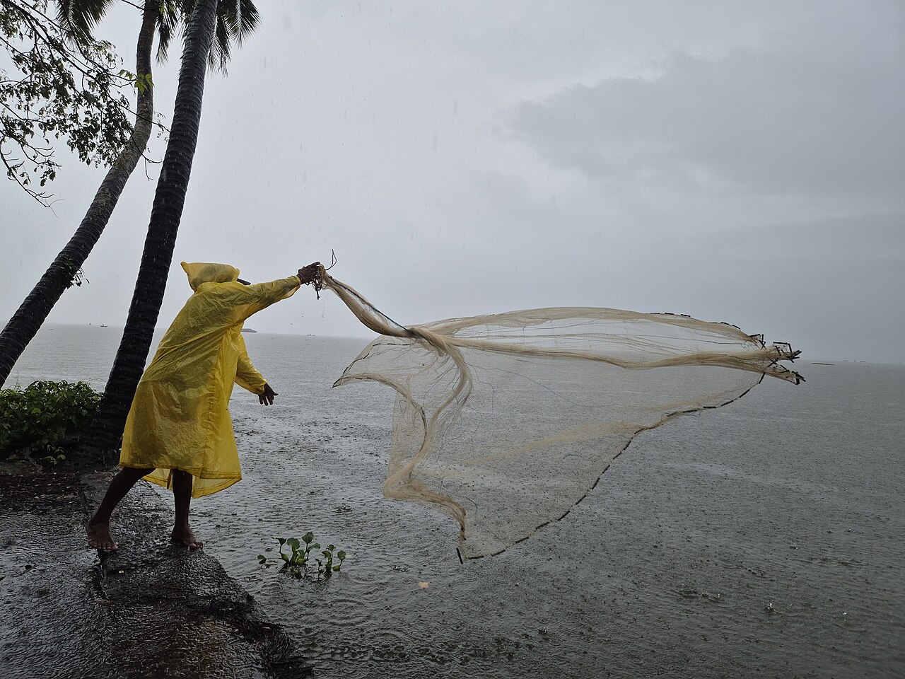 A local fisherman standing in a wooden boat casting a net on Wular Lake