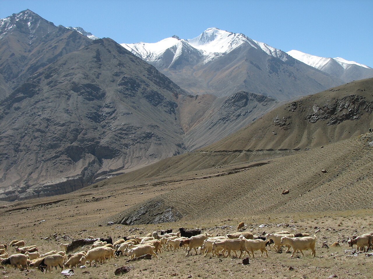 A 4x4 vehicle driving on a mountain road