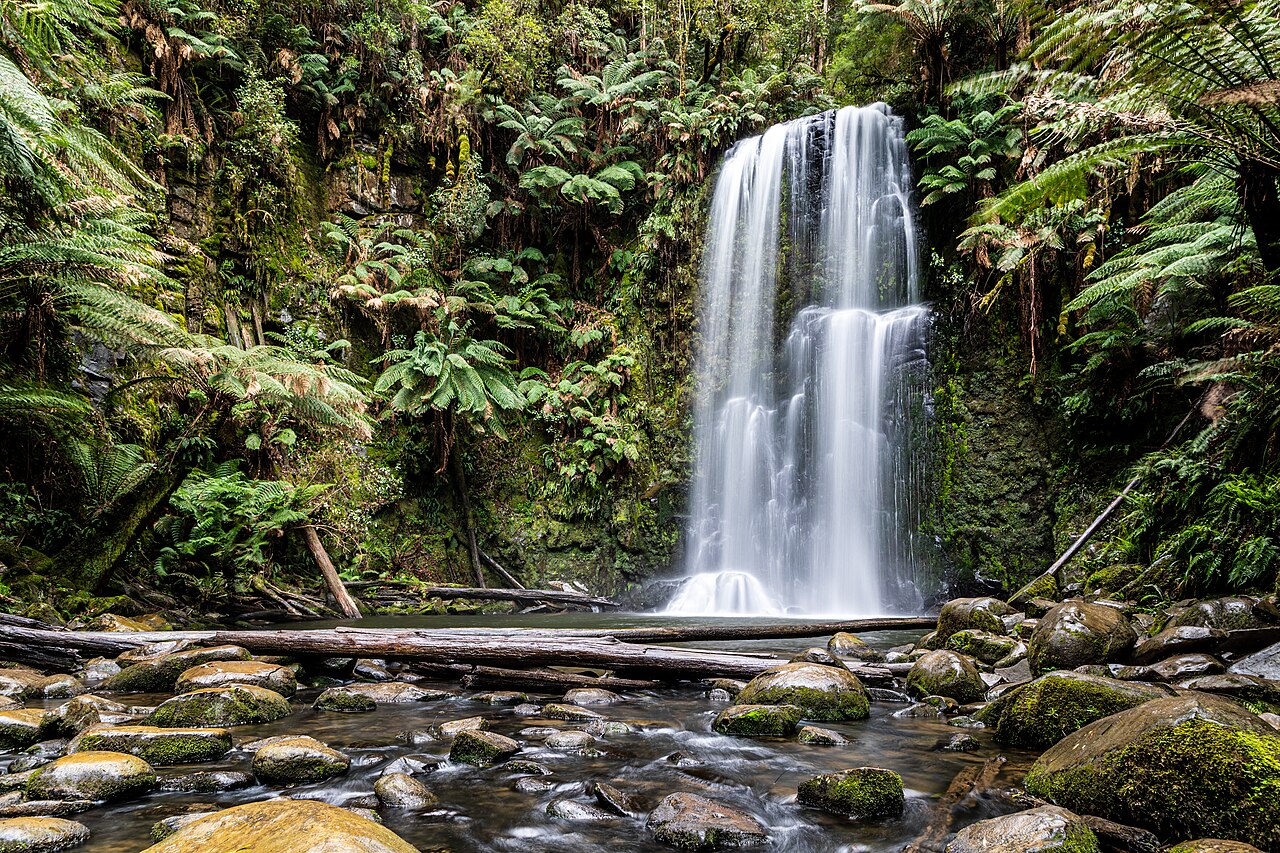 Clear mountain stream flowing over rocks in a pine forest