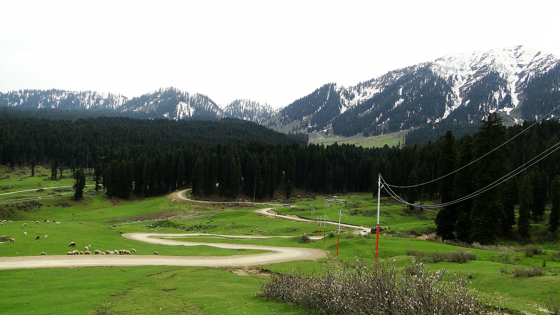 Clear asphalt road winding through summer green mountains in Kashmir
