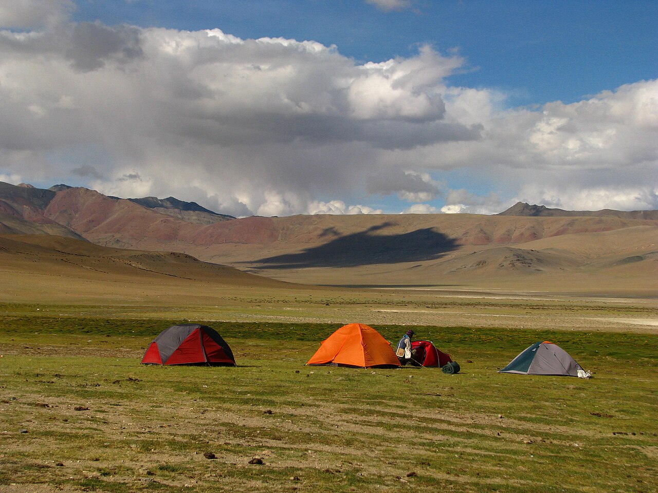 Close up of a travel permit document for the Ladakh region.