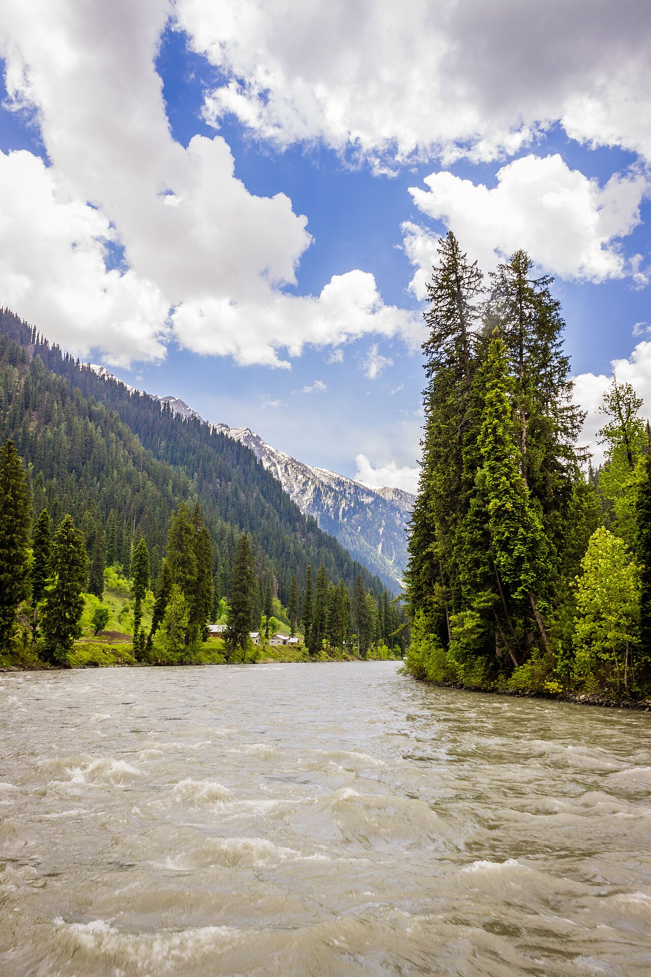 A bright, clear mountain stream flowing over stones.