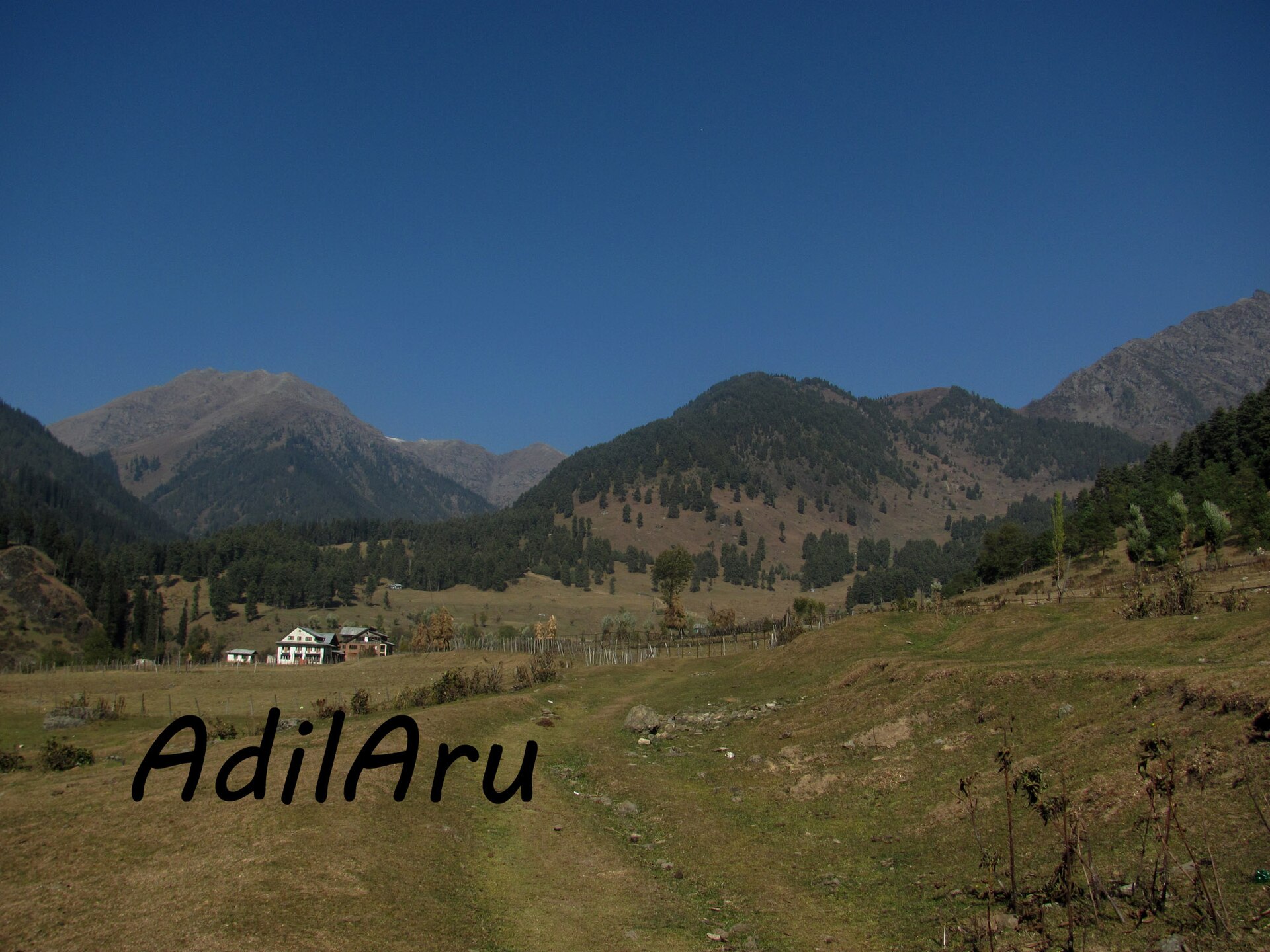 A wide, scenic view of the lush green Kashmir valley with mountain backdrops.