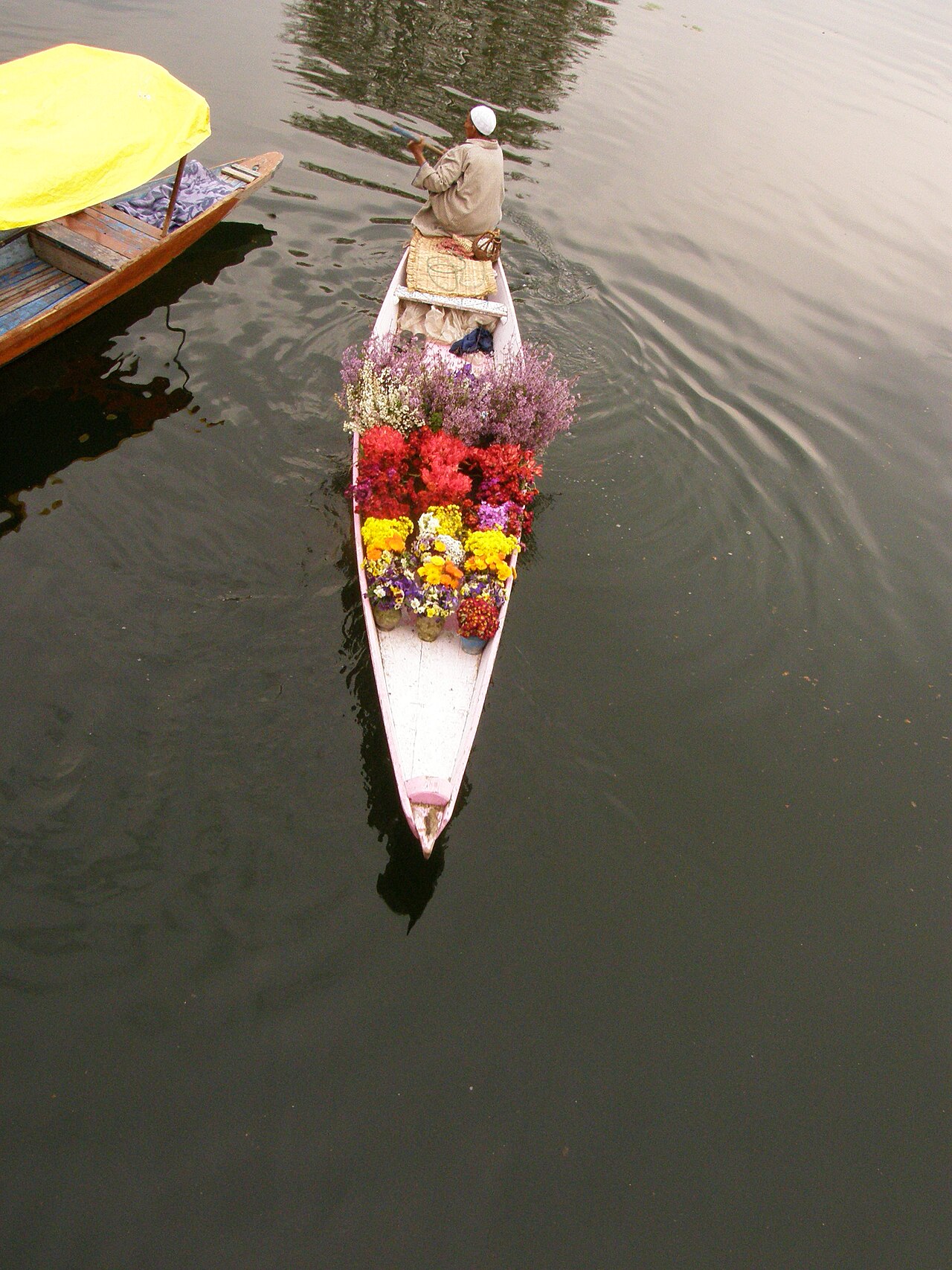 Dal Lake — Common Pitfalls to Avoid