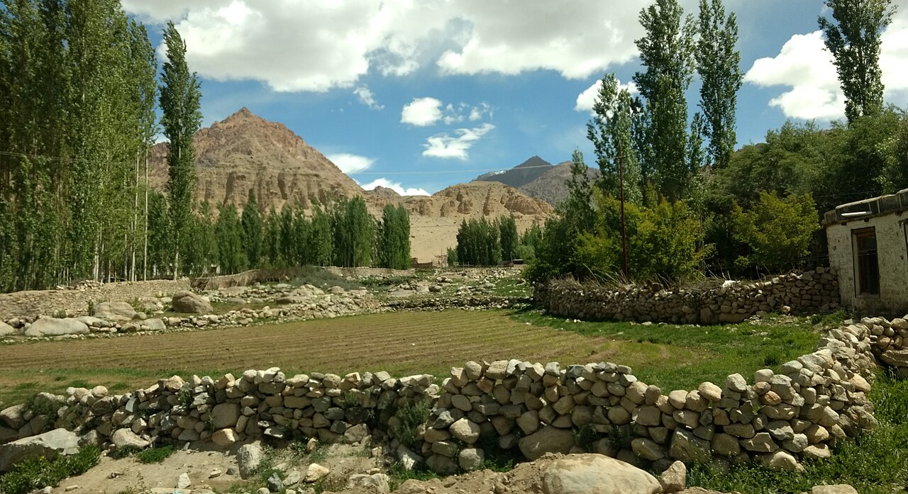 Traditional stone house and apricot trees in a Ladakhi village