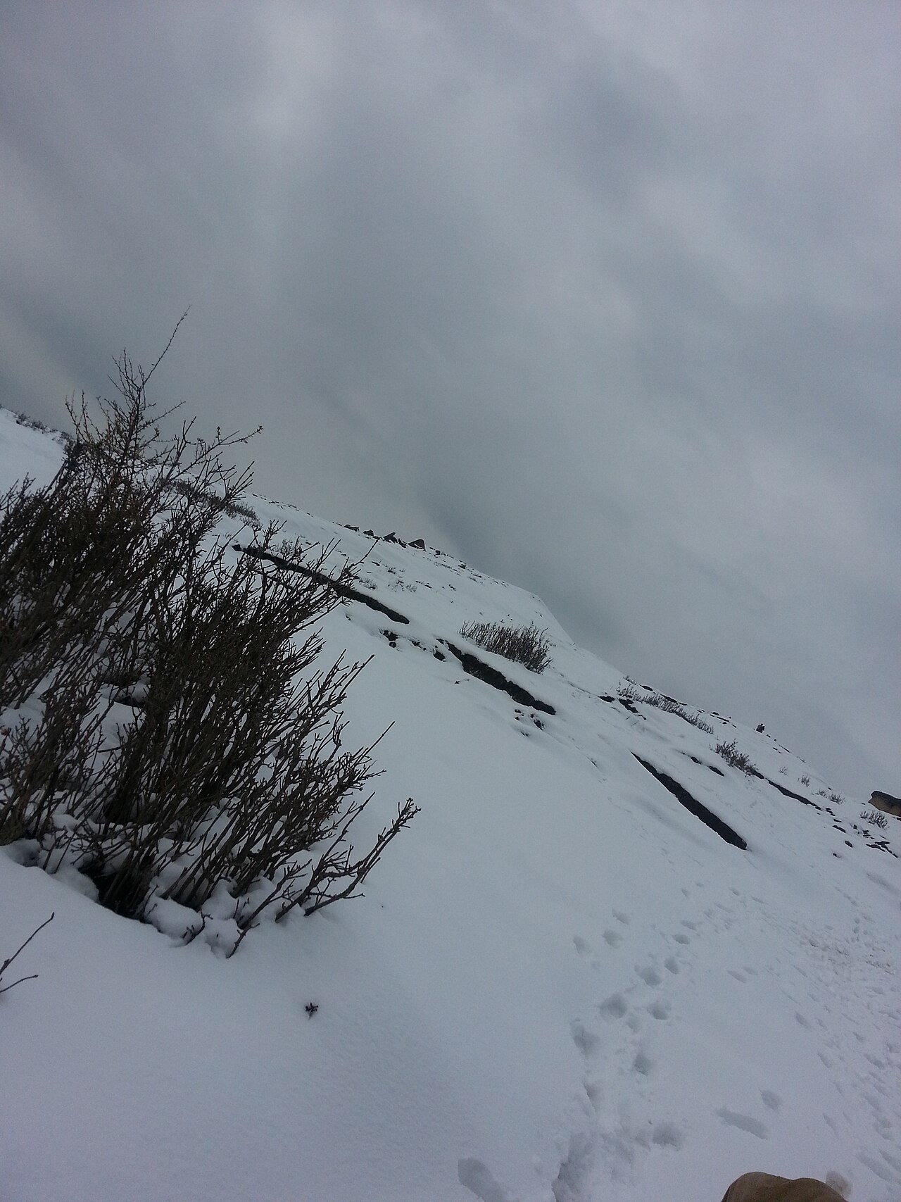 Cable car cabin moving over green valley in Patnitop