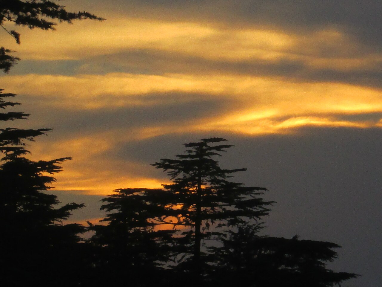 Patnitop — Day Trips to Sanasar Meadows