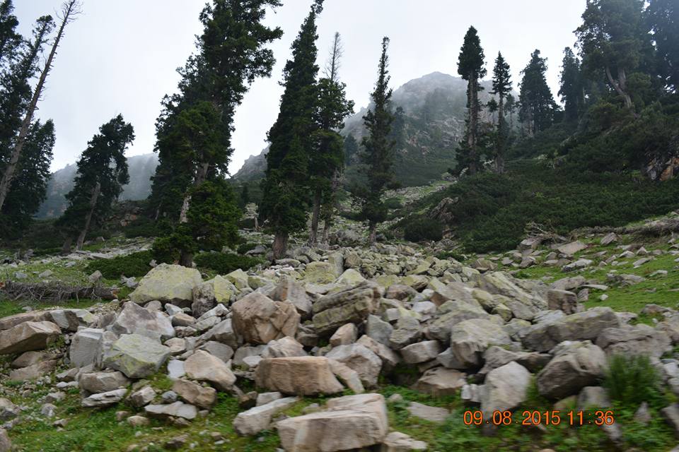 Agricultural plains and distant hills of Anantnag district