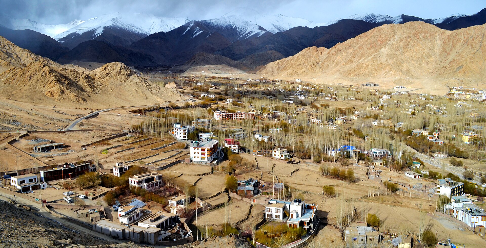 Leh town buildings nestled beneath arid brown hills