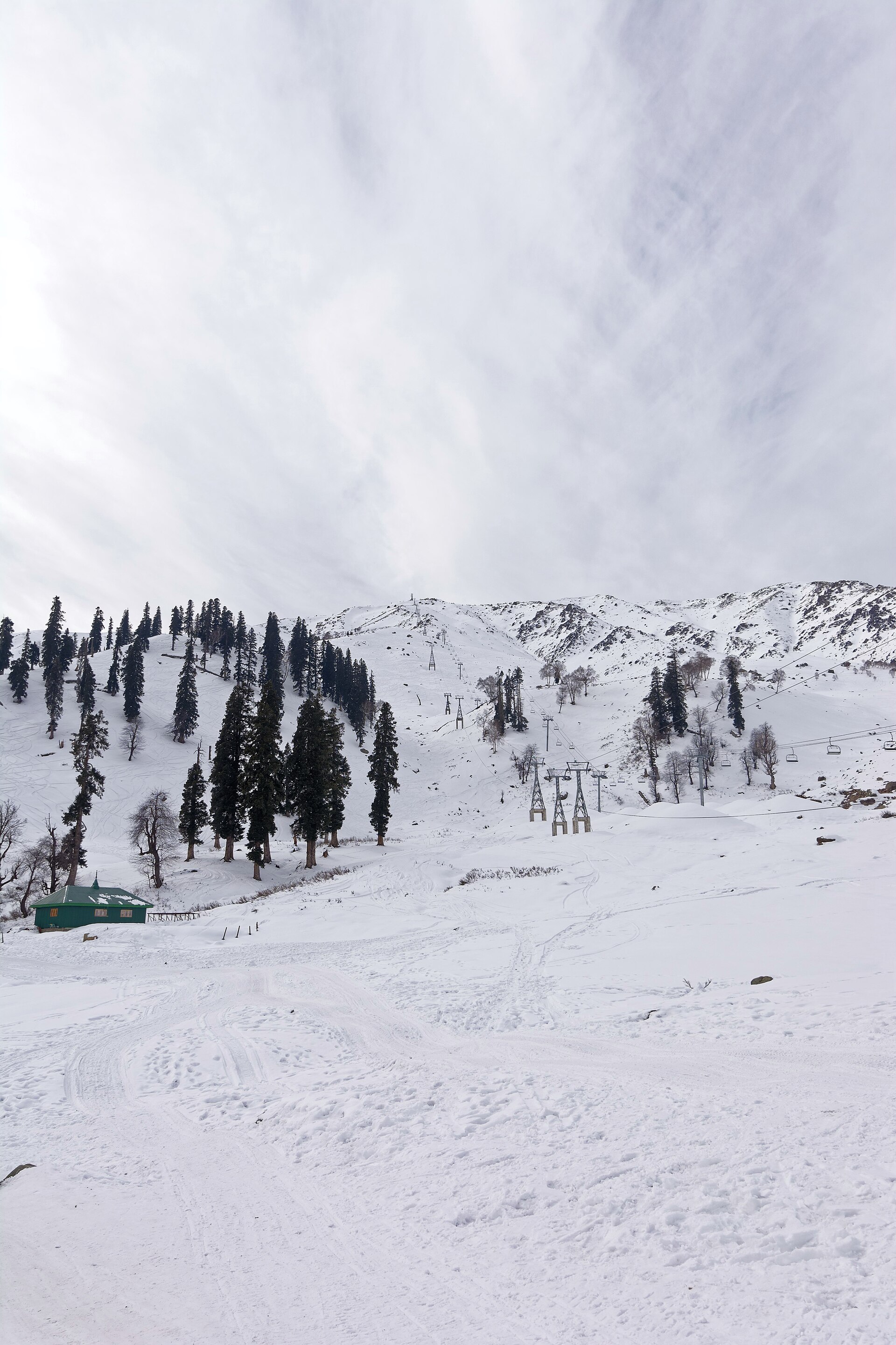 Snow-covered pine trees and winter landscape in Gulmarg