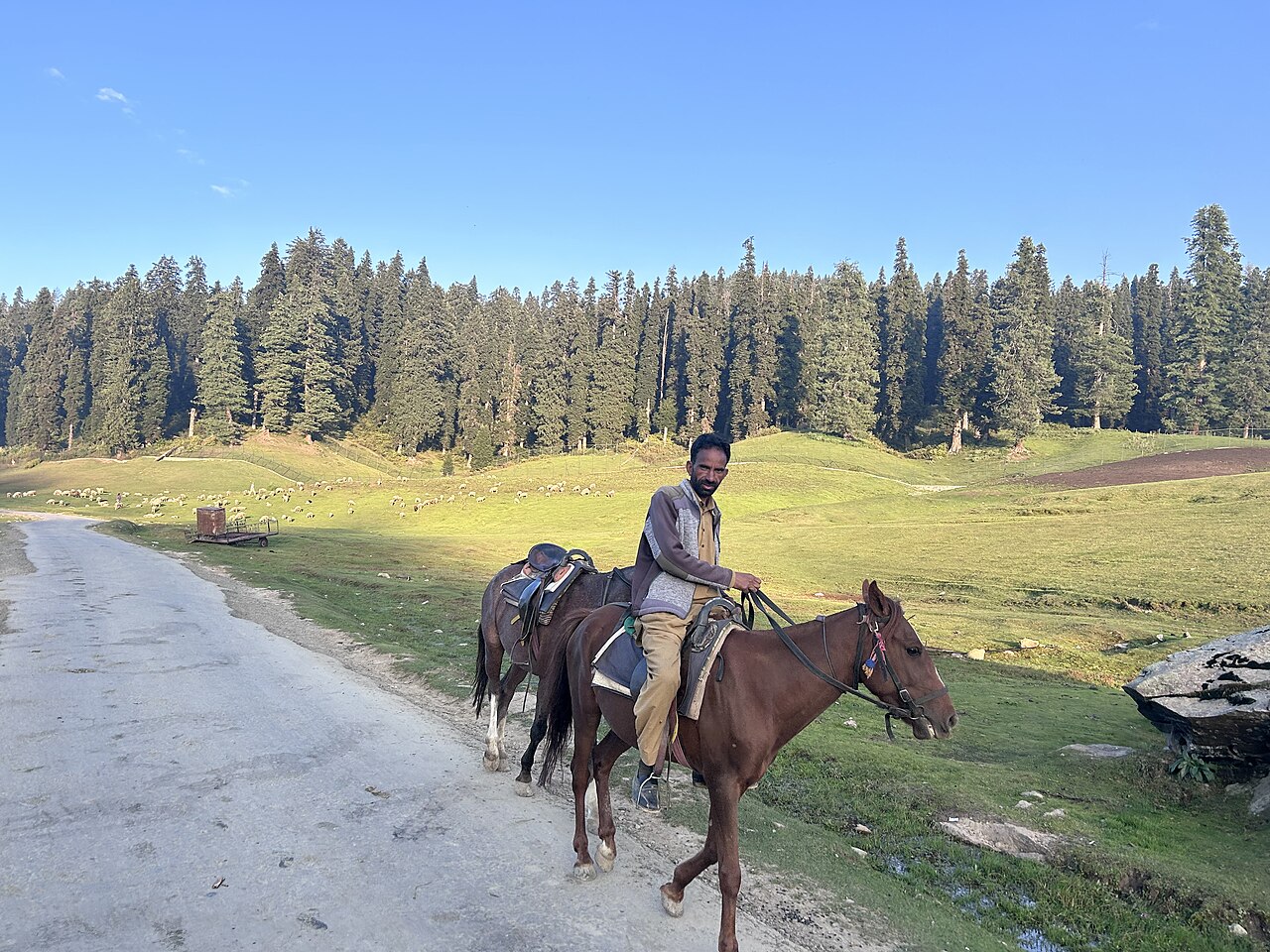Gulmarg — Daily Food and Local Transport Tariffs