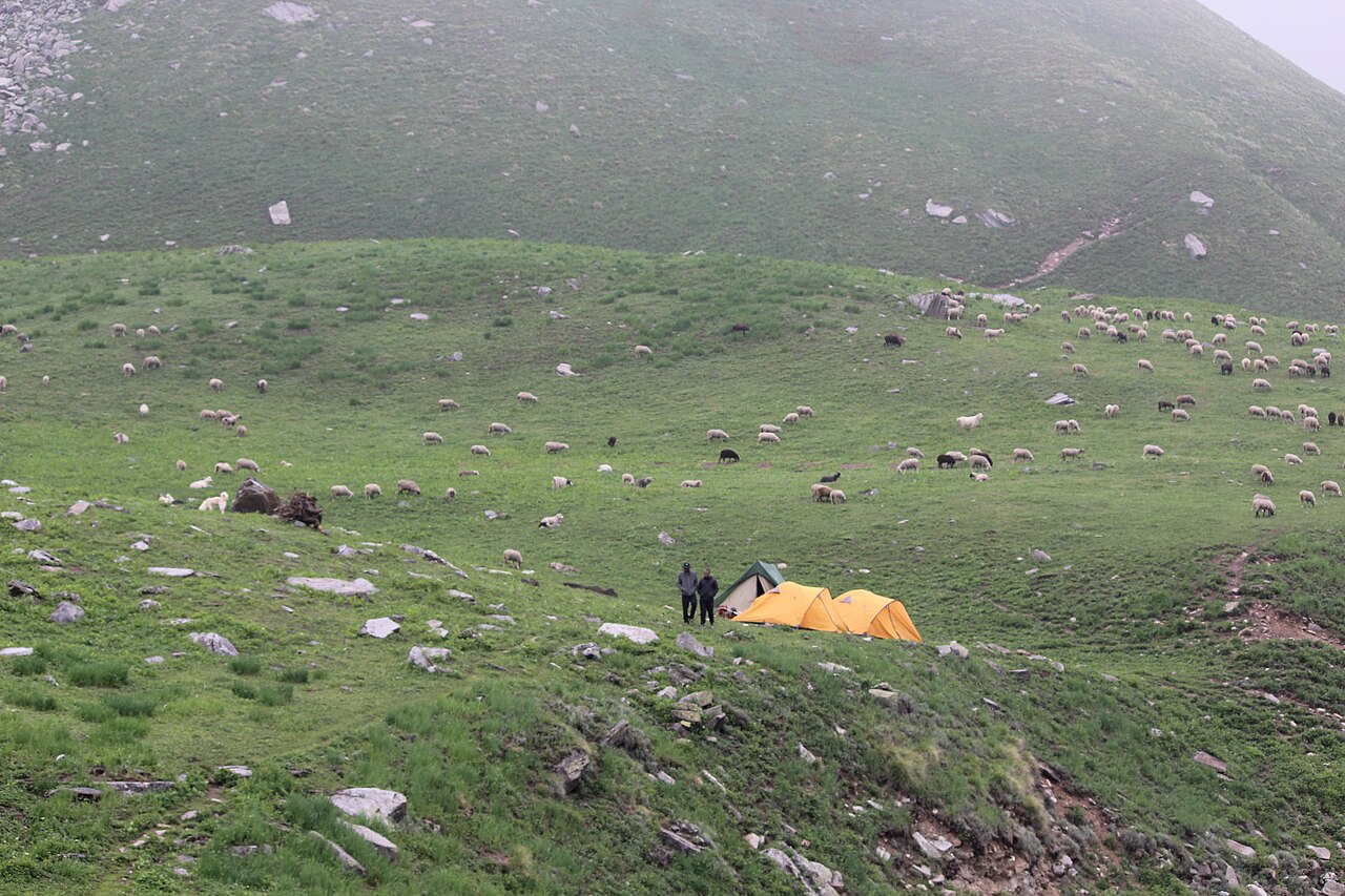 Wide green field in the mountains