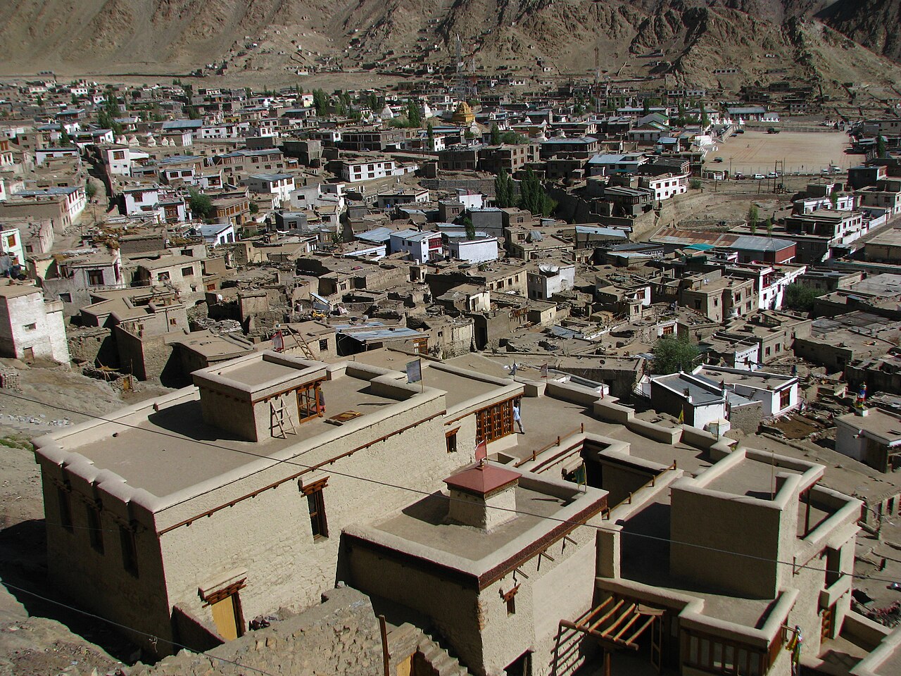 View from a monastery rooftop in Leh