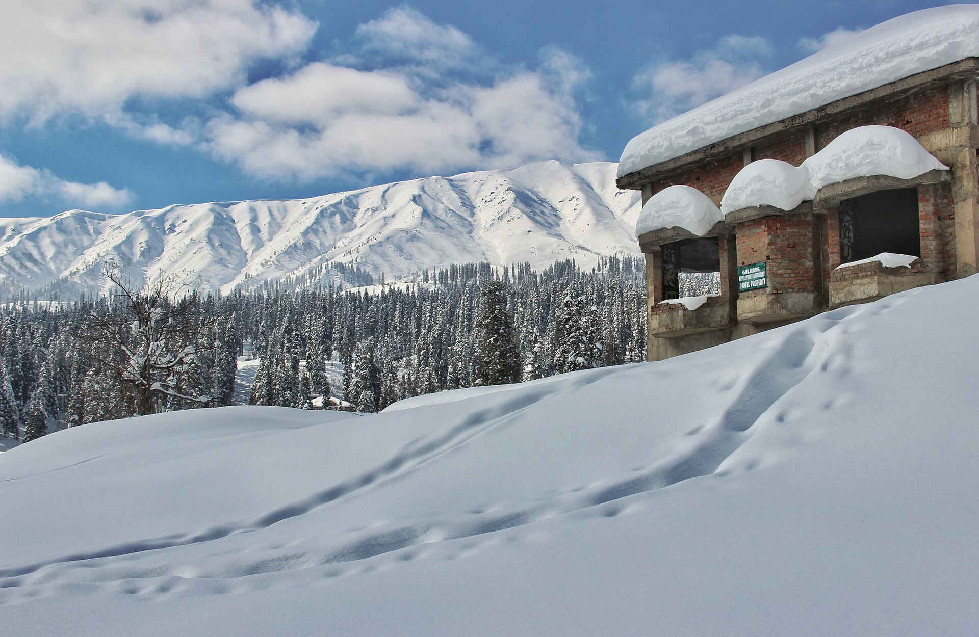 Snowy mountain landscape in Gulmarg during sunset with pine trees