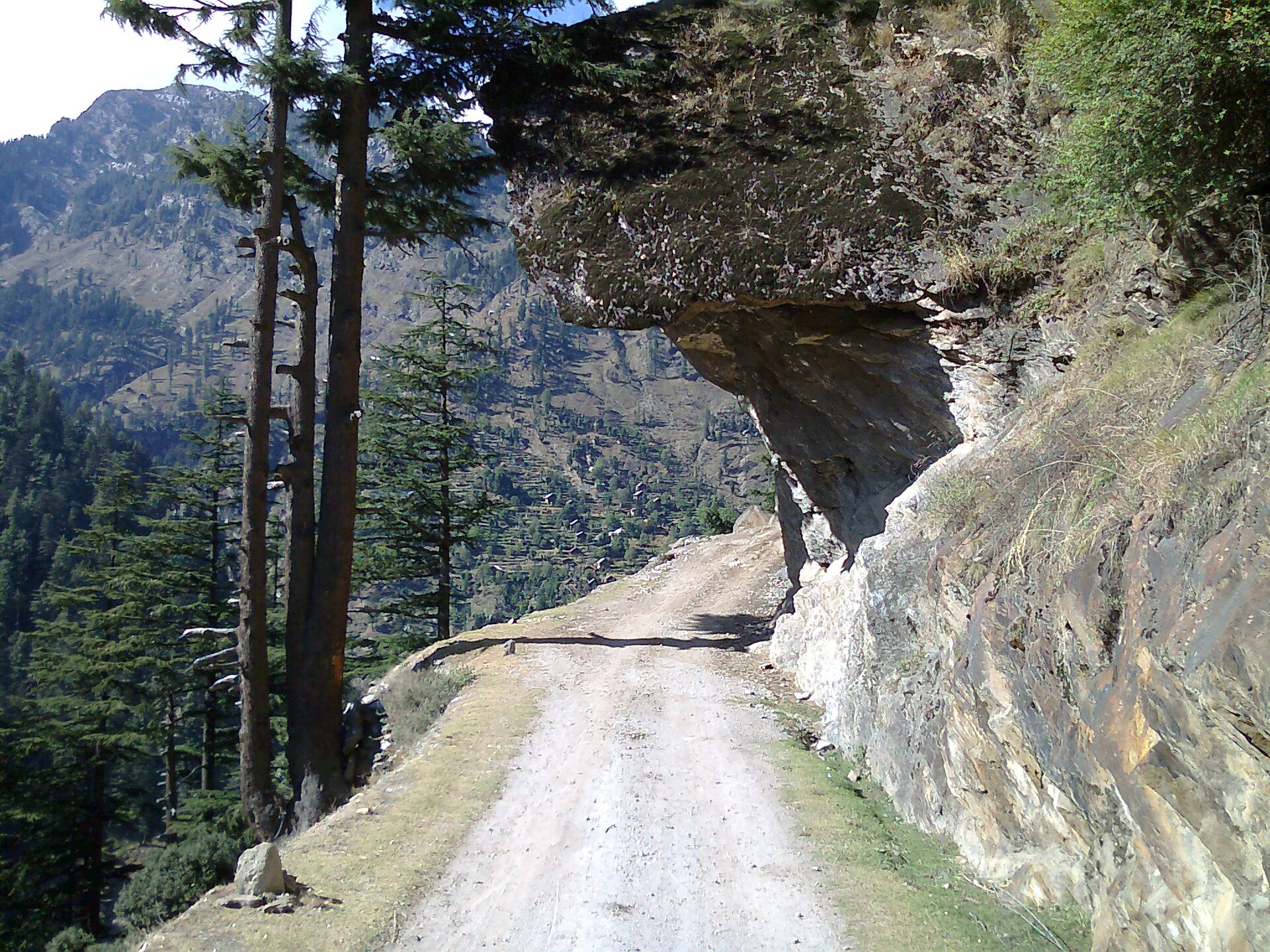 Winding road through Kashmir apple orchards