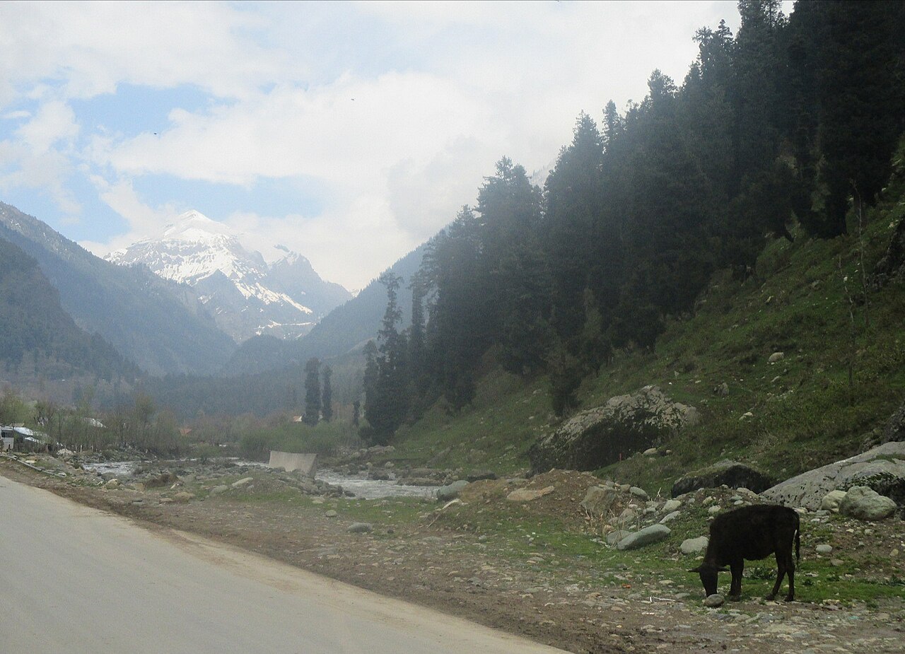Green meadows and wooden cottages in Pahalgam valley
