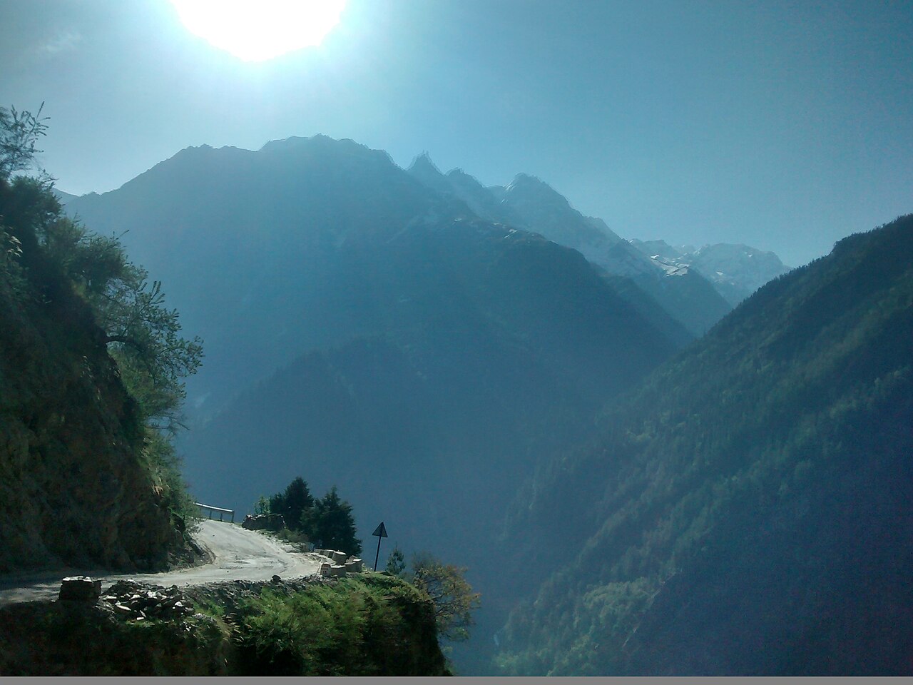 A narrow mountain road winding through a pine forest.
