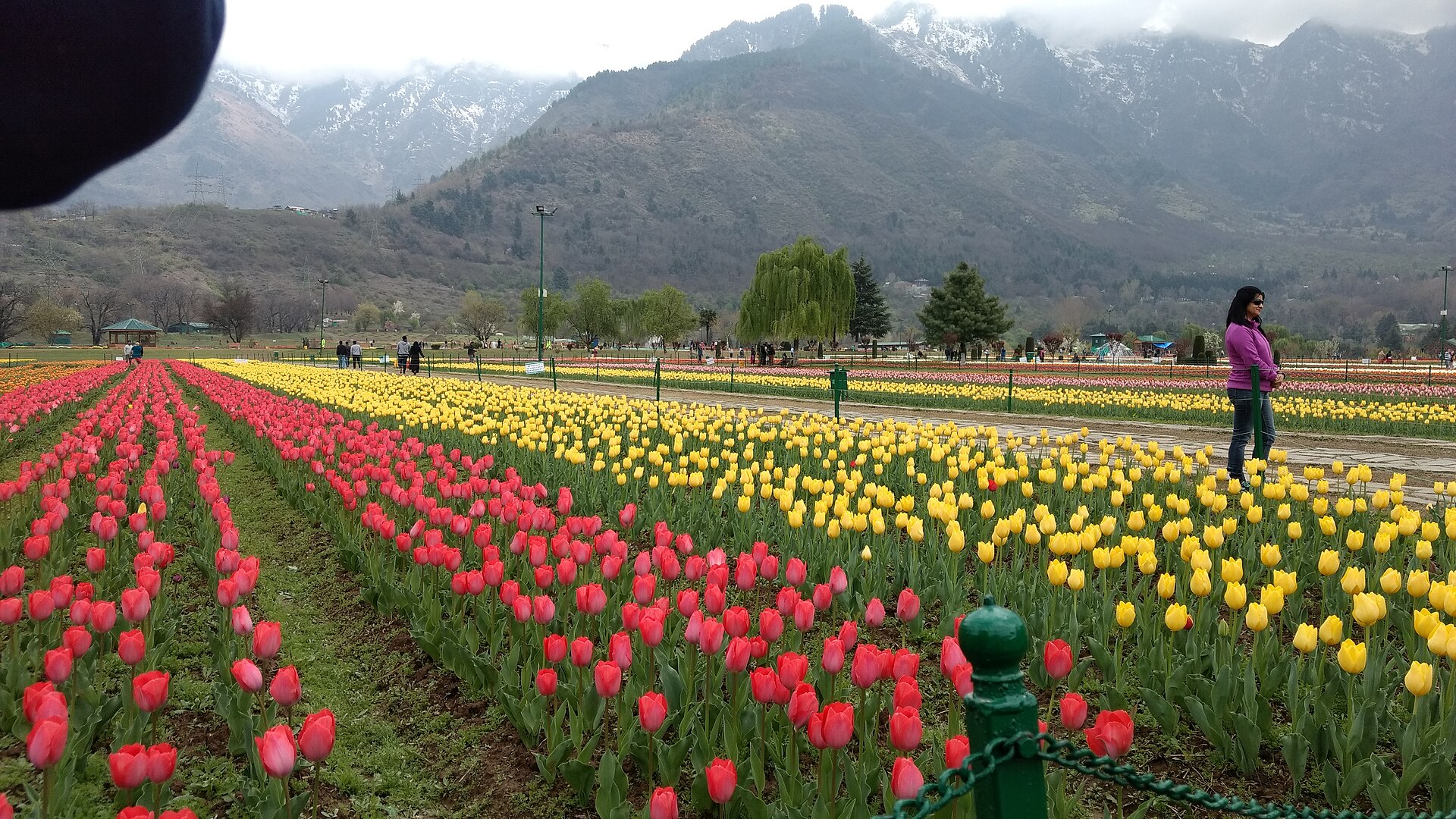Panoramic view of Srinagar city during spring.