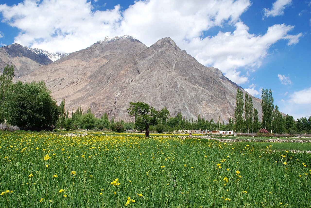 Nubra Valley — What you lose in a one-day dash