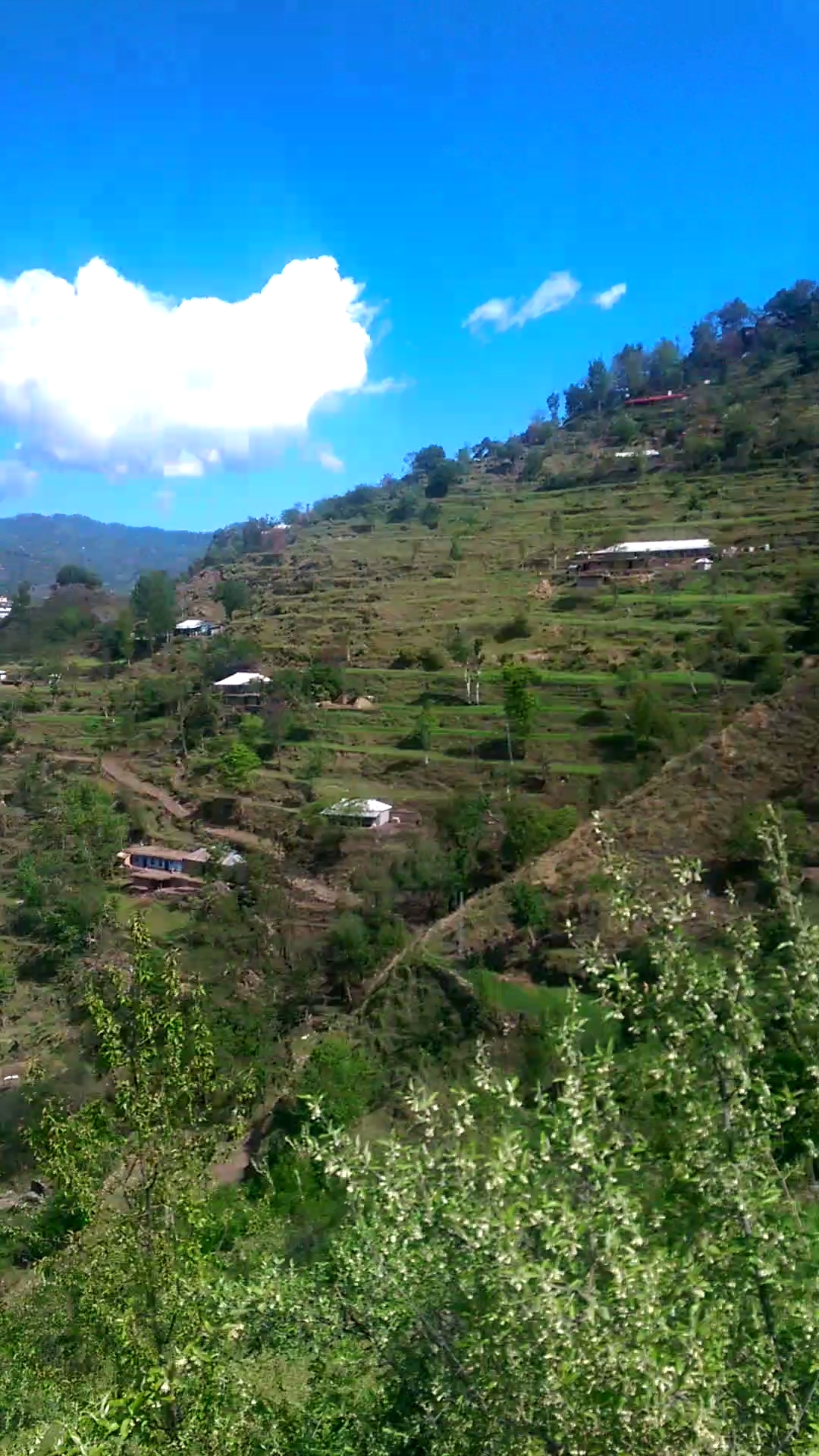 Winding tarmac road through green hills and valleys