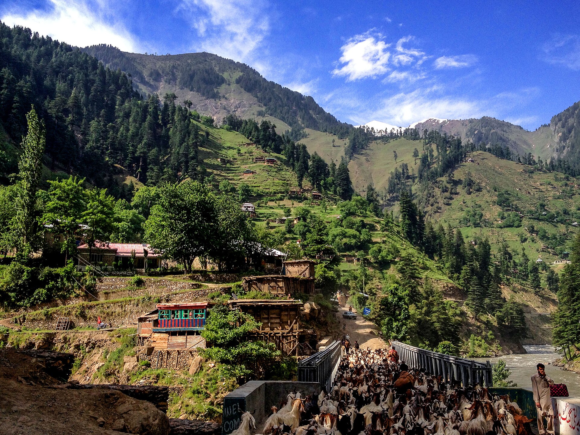 Safe mountain road in Kashmir