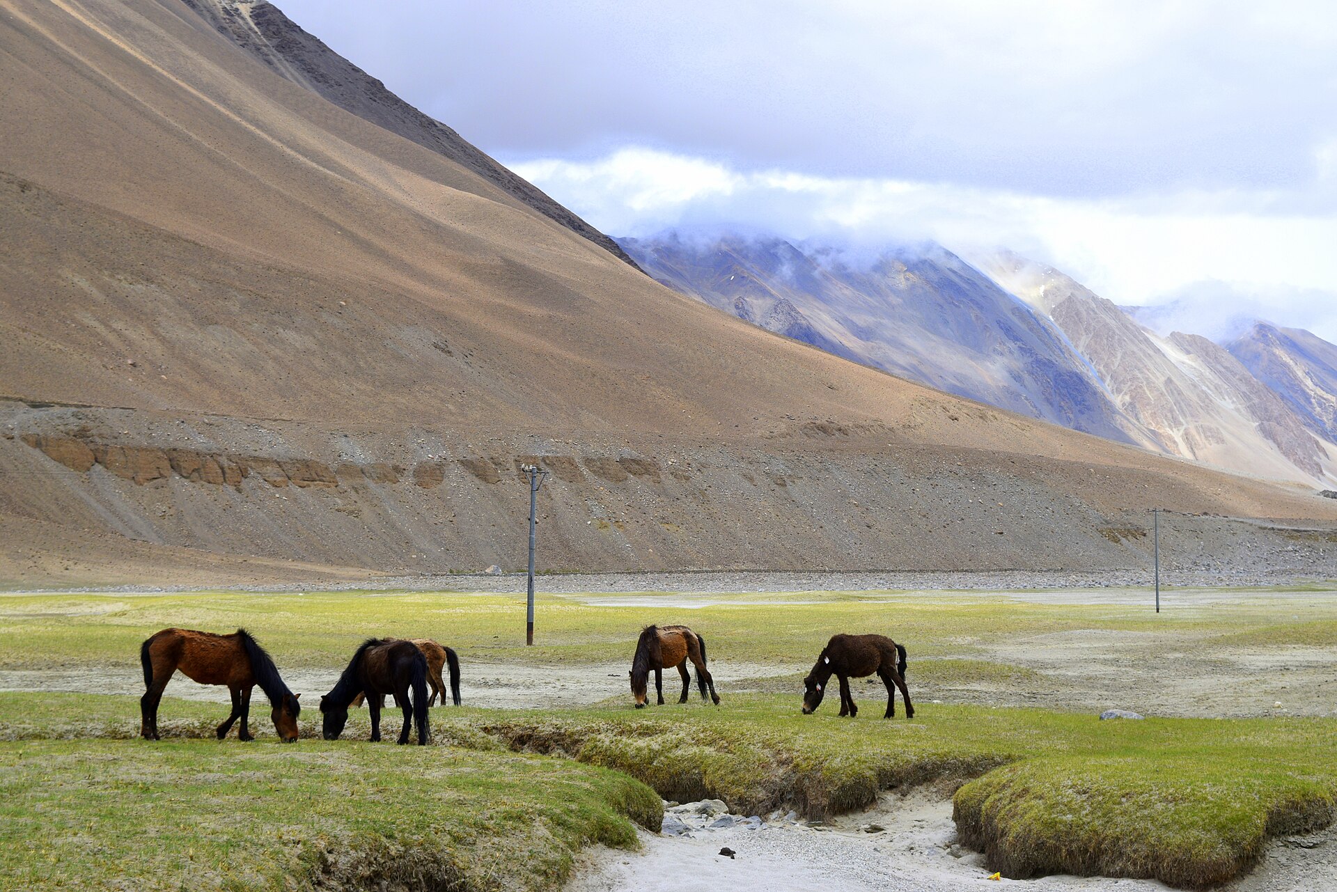 A winding road through the barren mountains of Ladakh under a clear blue sky.
