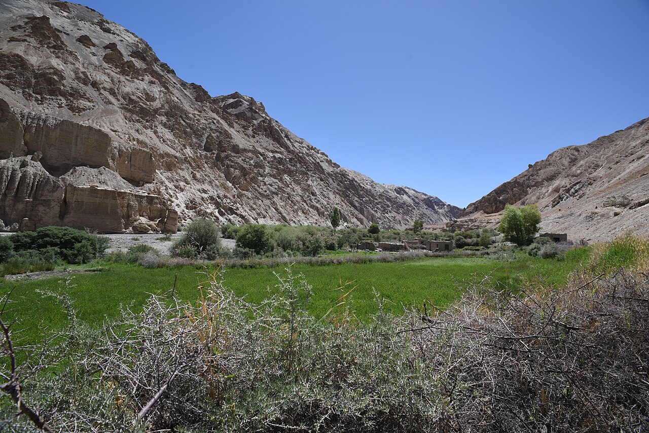 Traditional handicrafts and souvenirs in Leh market