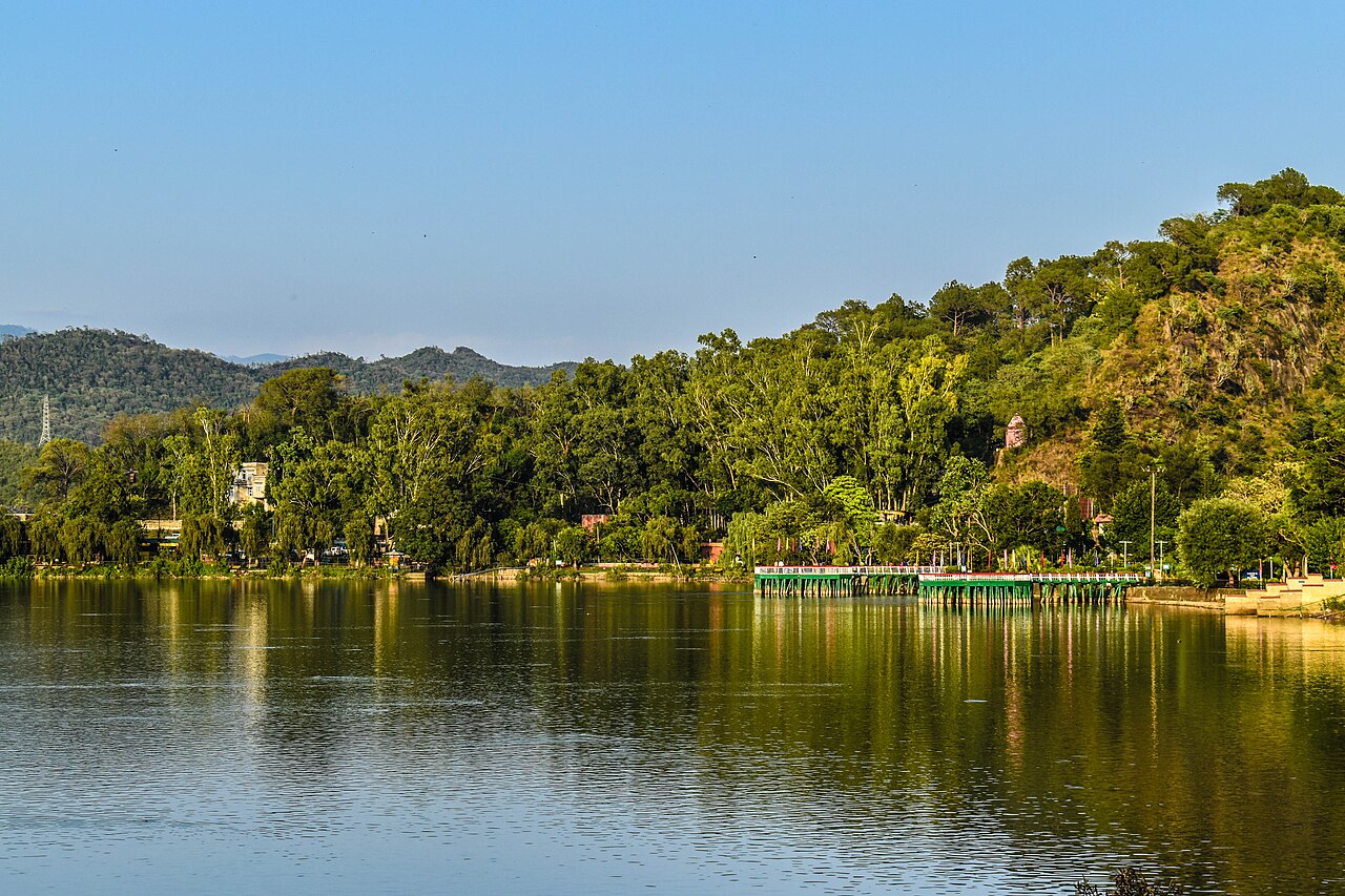 The forest reflecting on the surface of the lake