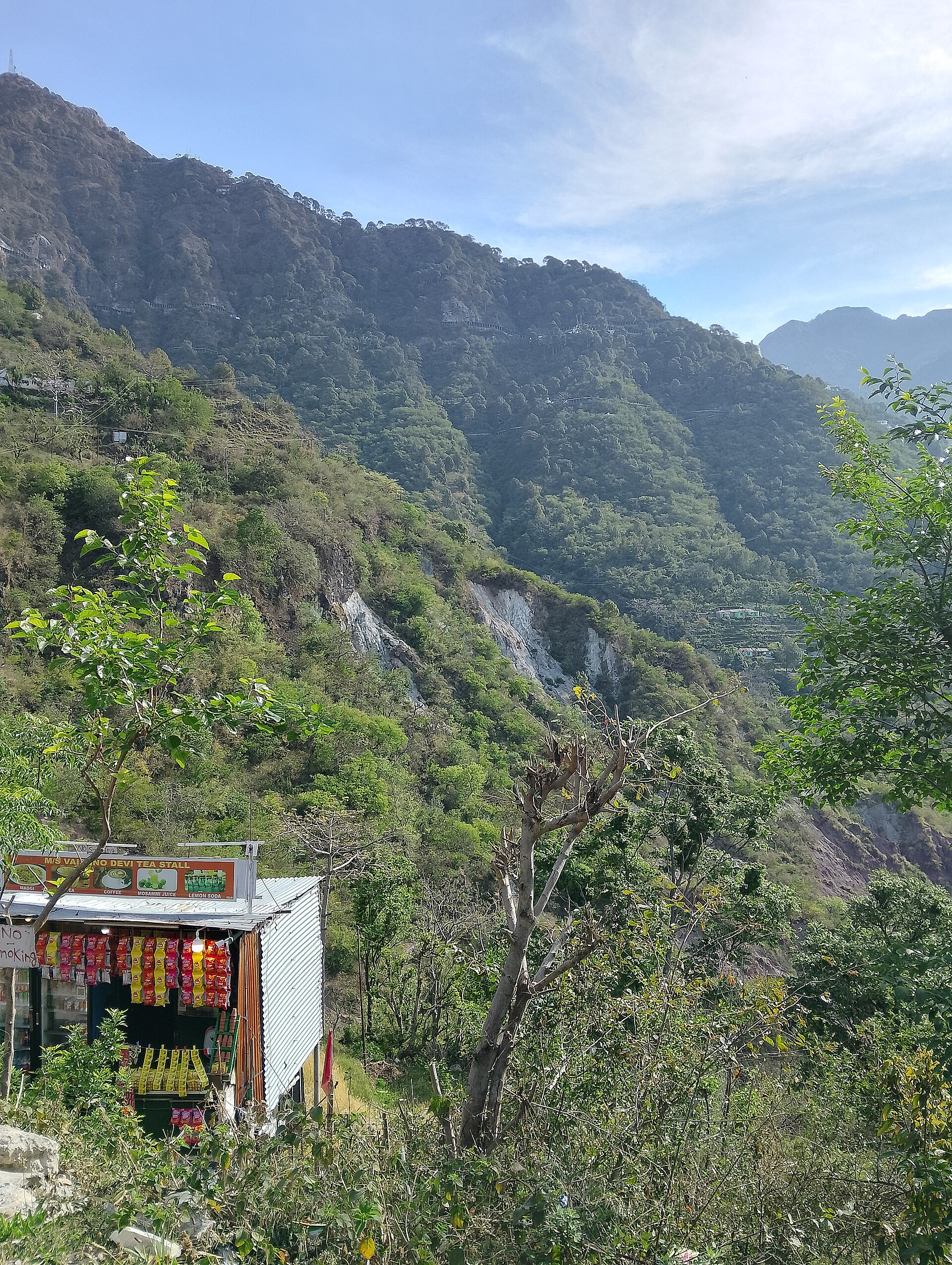 Dense green forest canopy covering rolling Shivalik hills