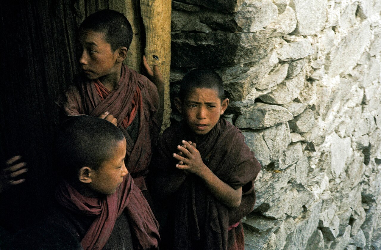 Young novice monk reading traditional Tibetan texts