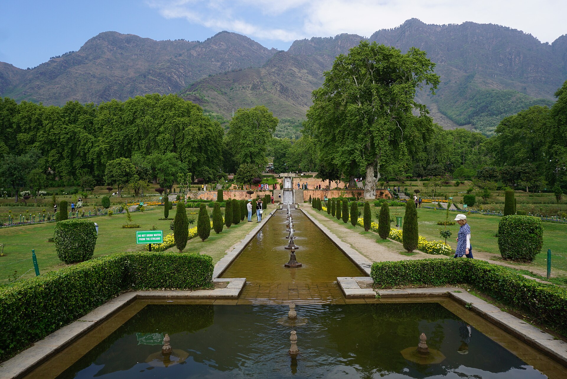 Ancient chinar trees and fountains at Nishat Bagh