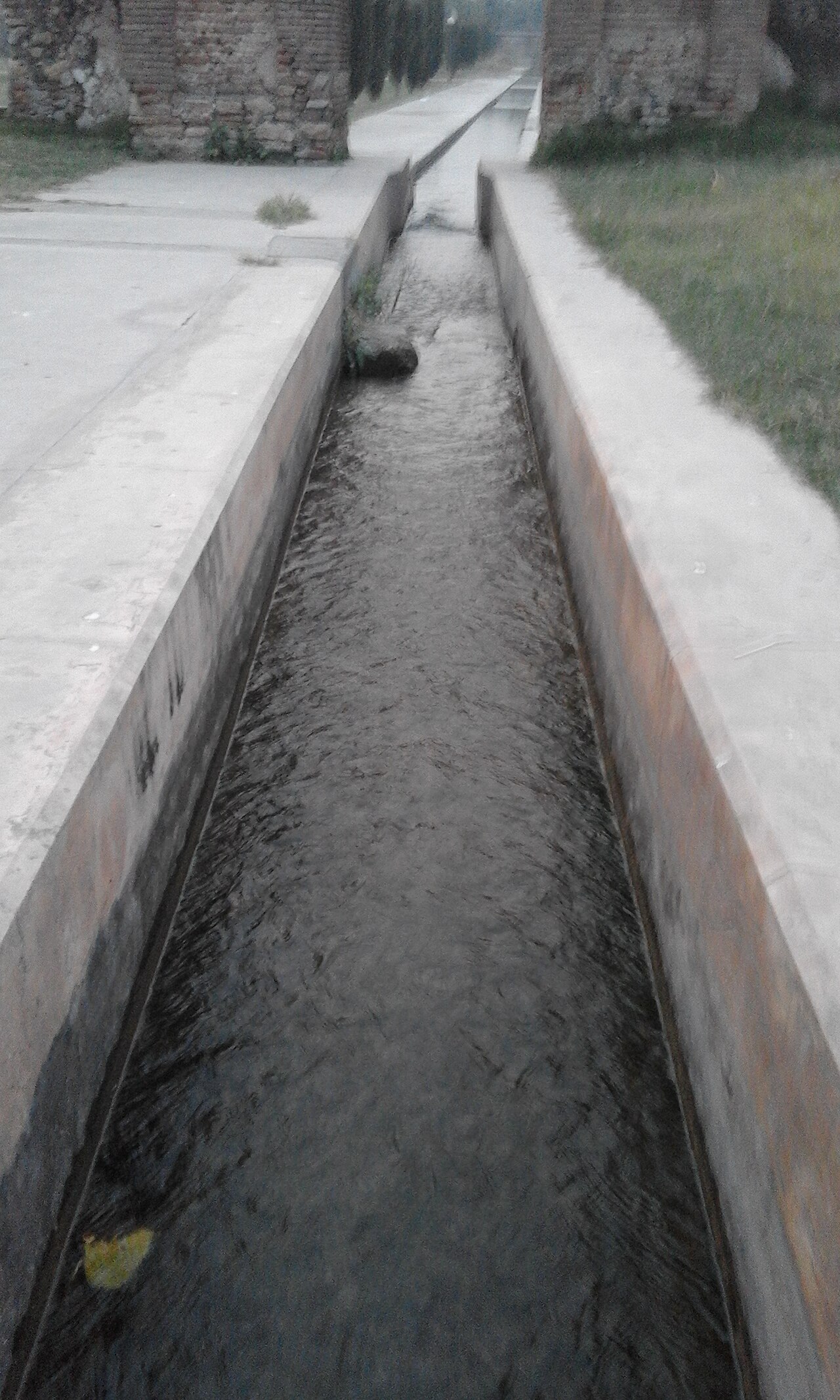 Mughal Gardens — Navigating Access and Security Checks