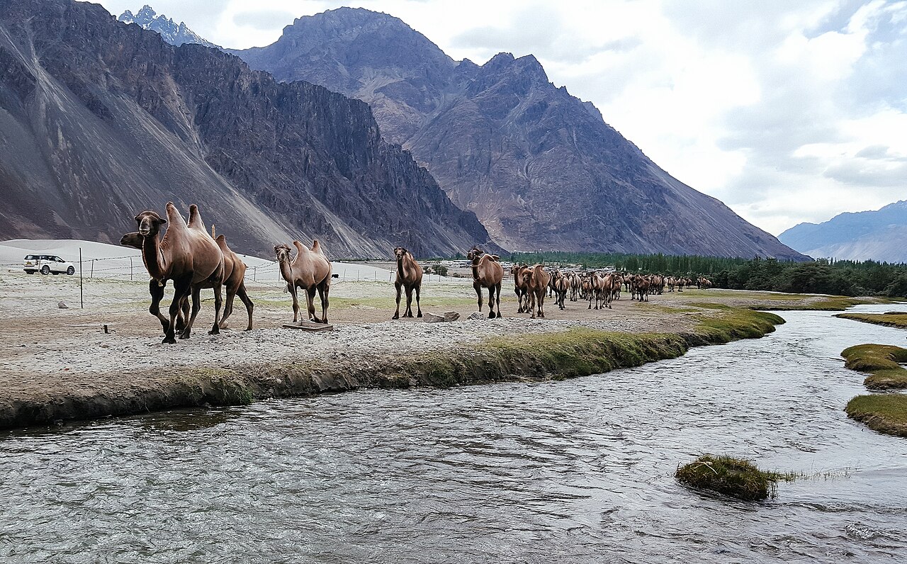 Nubra Valley — Value-for-money recommendations