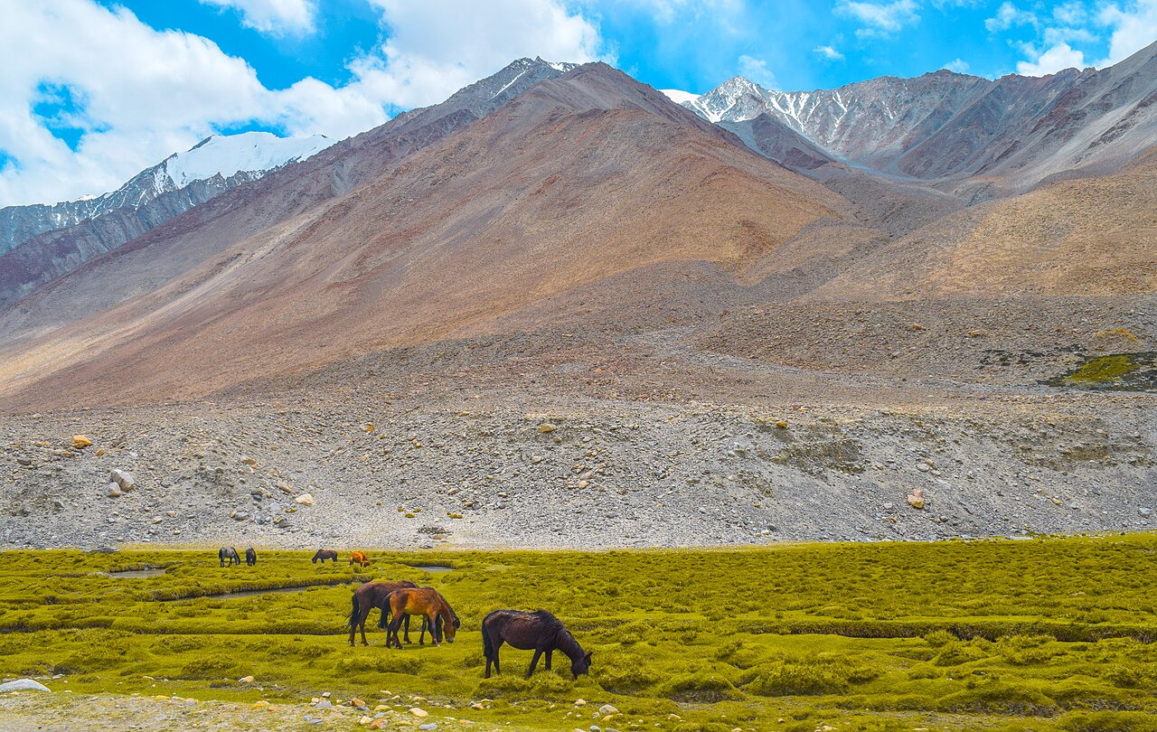 Simple roadside tea stall in the mountains of Ladakh