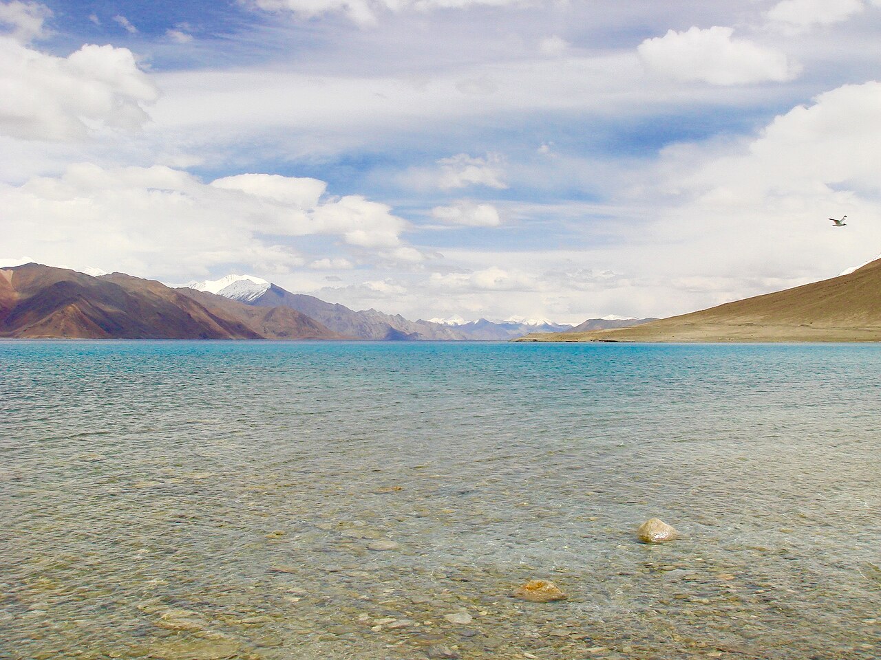 Close up of the rocky shoreline at Pangong Tso
