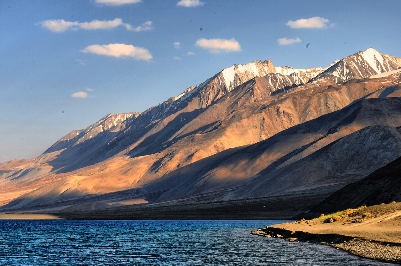 Birds near the shore of a lake in Ladakh