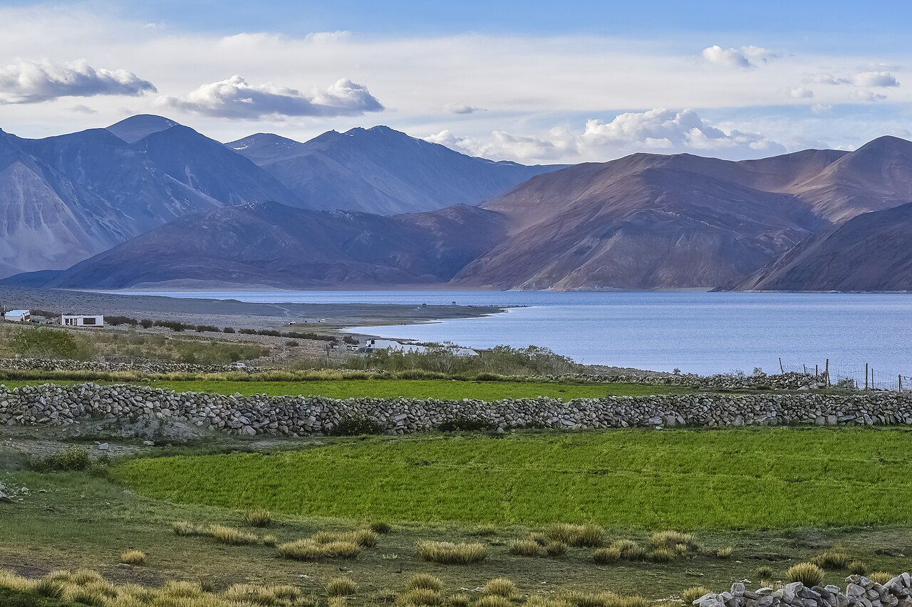 Pangong Tso — Flora and Fauna of the Lake