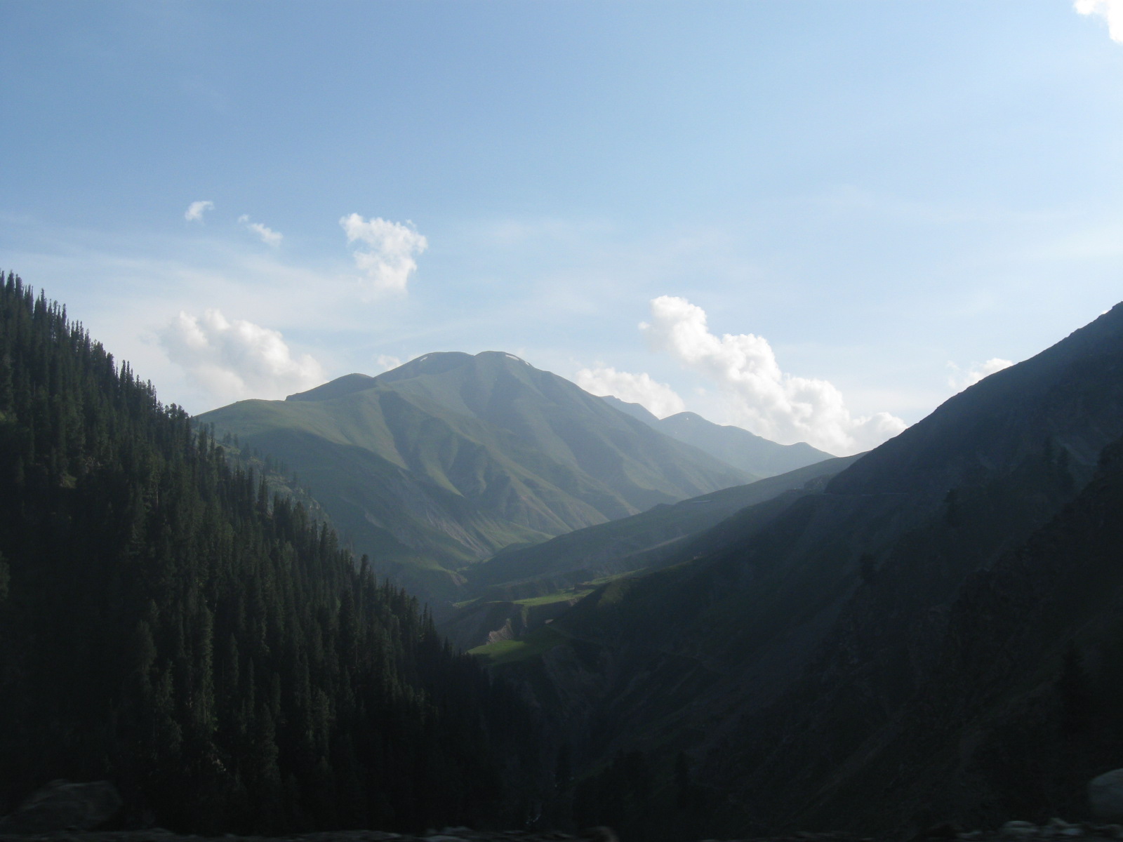 A peaceful forest path in Kulgam near Aharbal