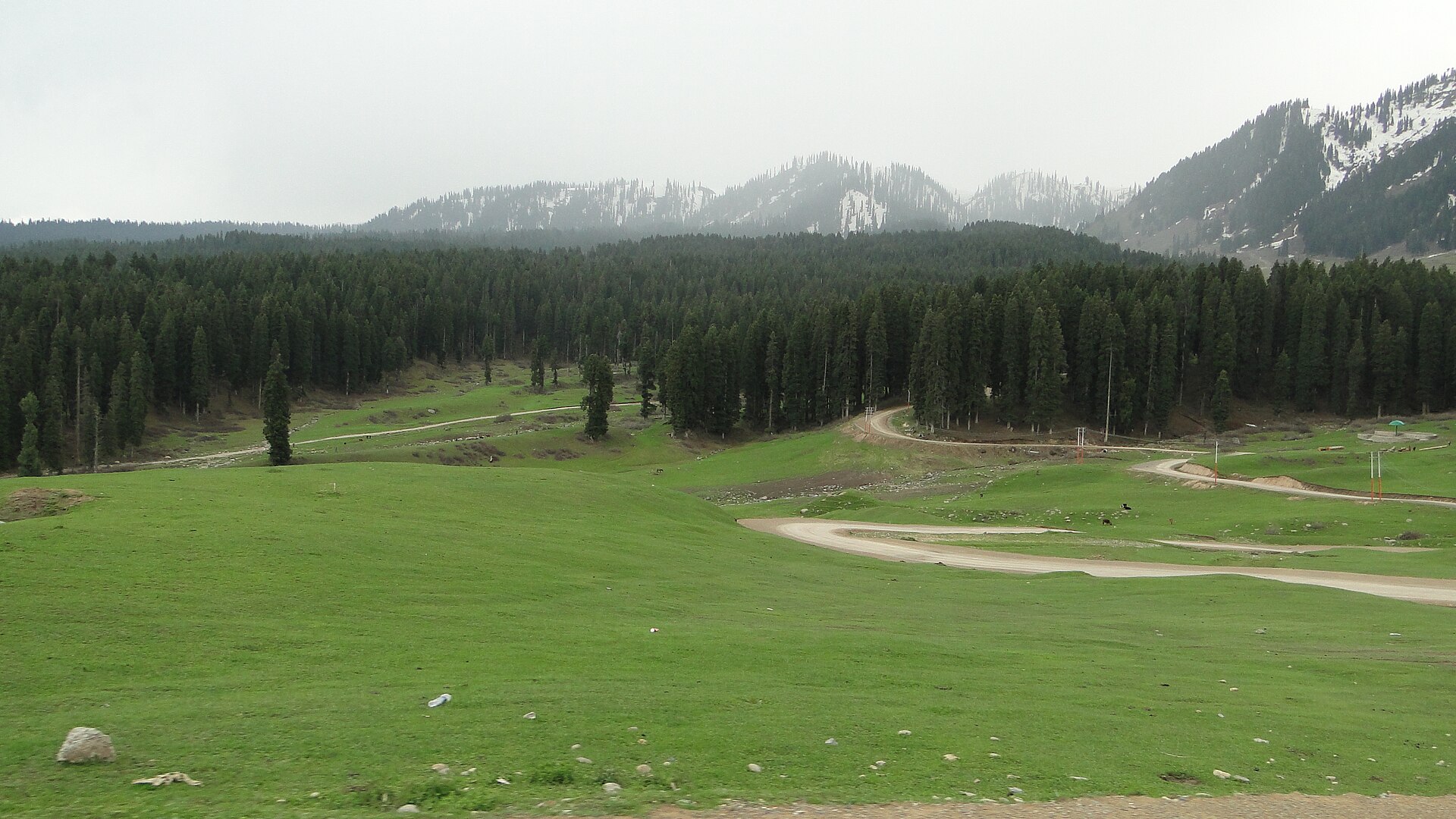 Wide green meadow of Doodhpathri with pine trees and mountains in the background