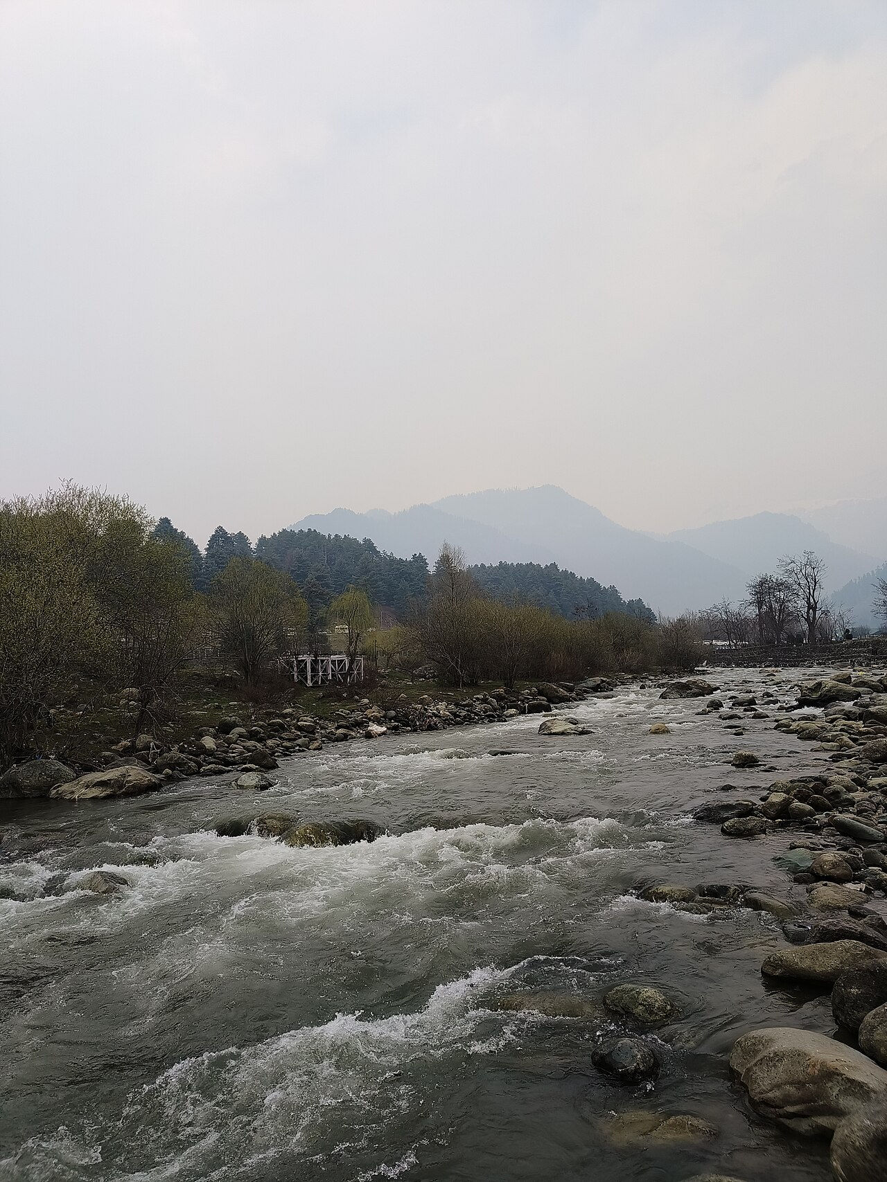 The Lidder river flowing through a forest valley